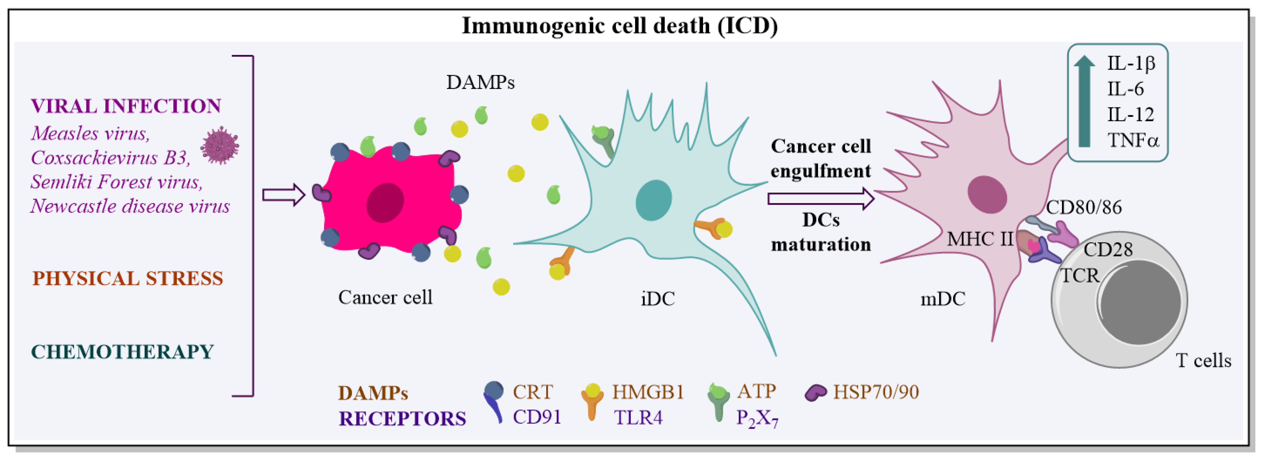 Biomedicines 10 02142 g001