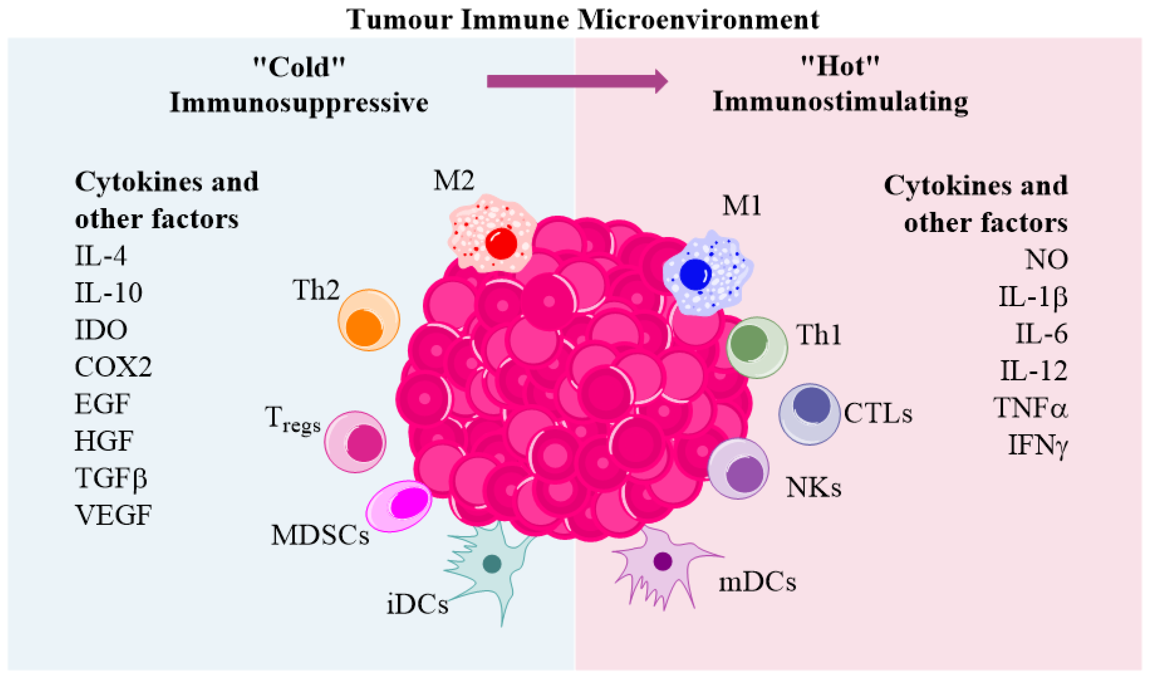 Biomedicines 10 02142 g002
