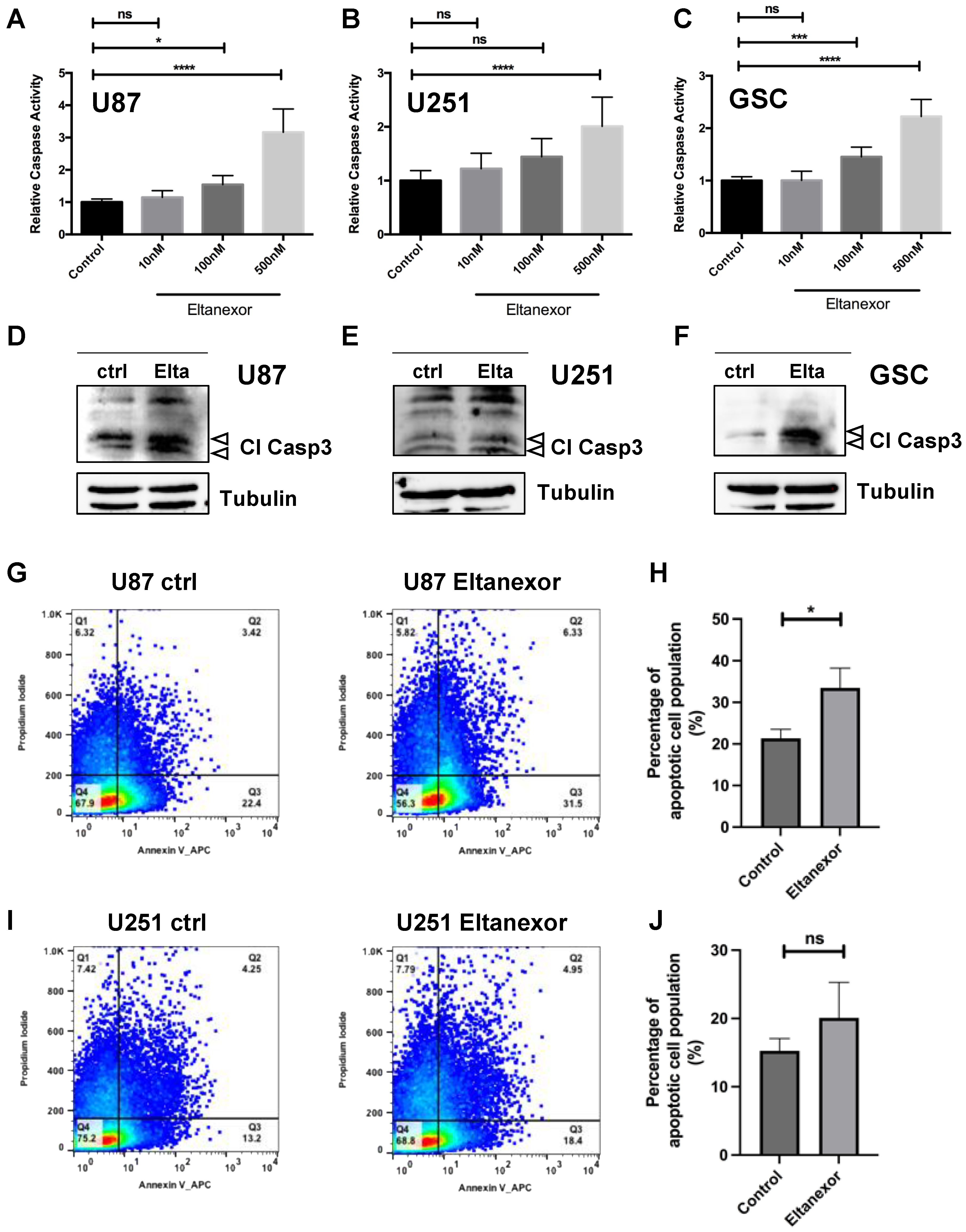 Biomedicines 10 02145 g002