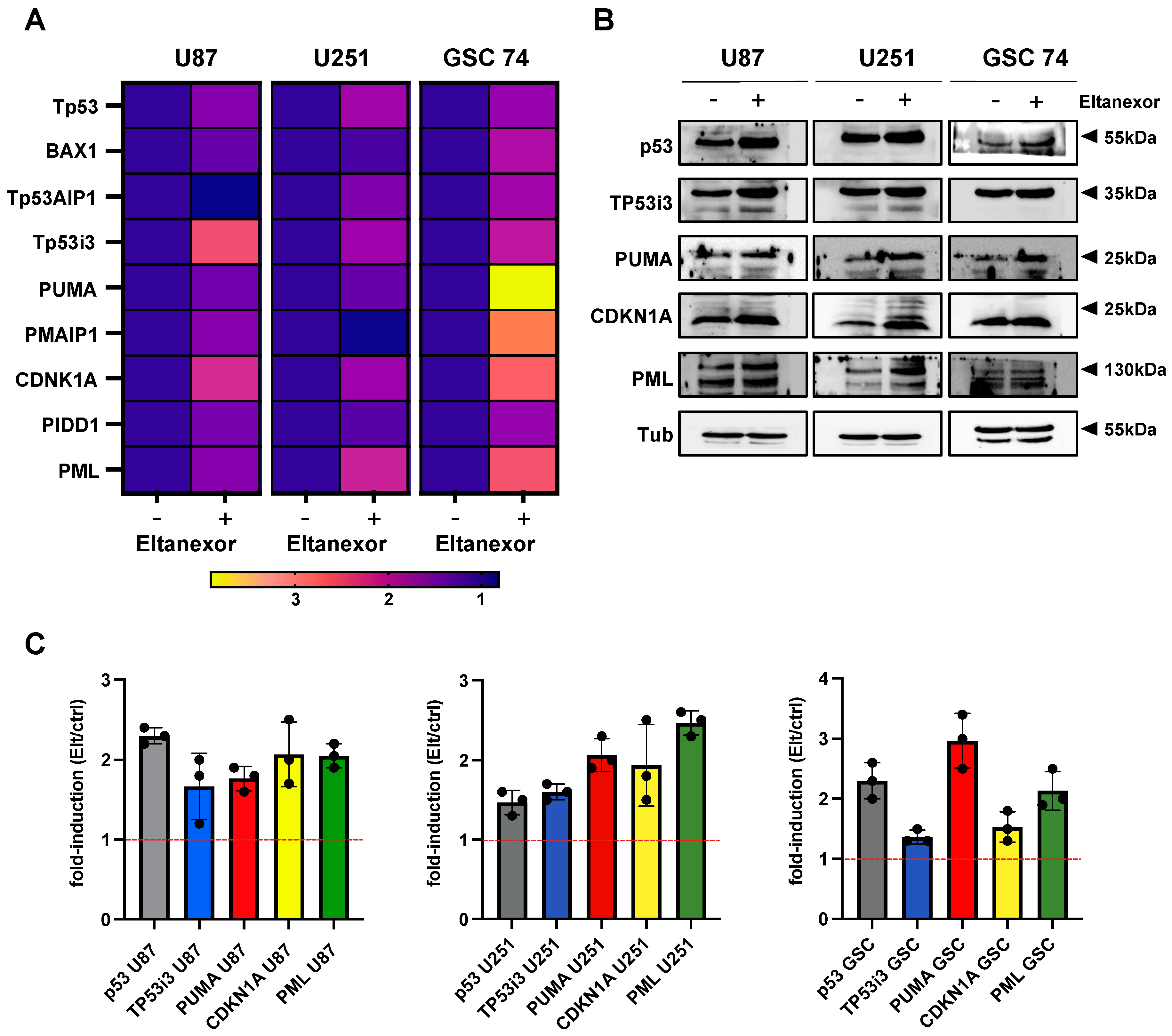 Biomedicines 10 02145 g003