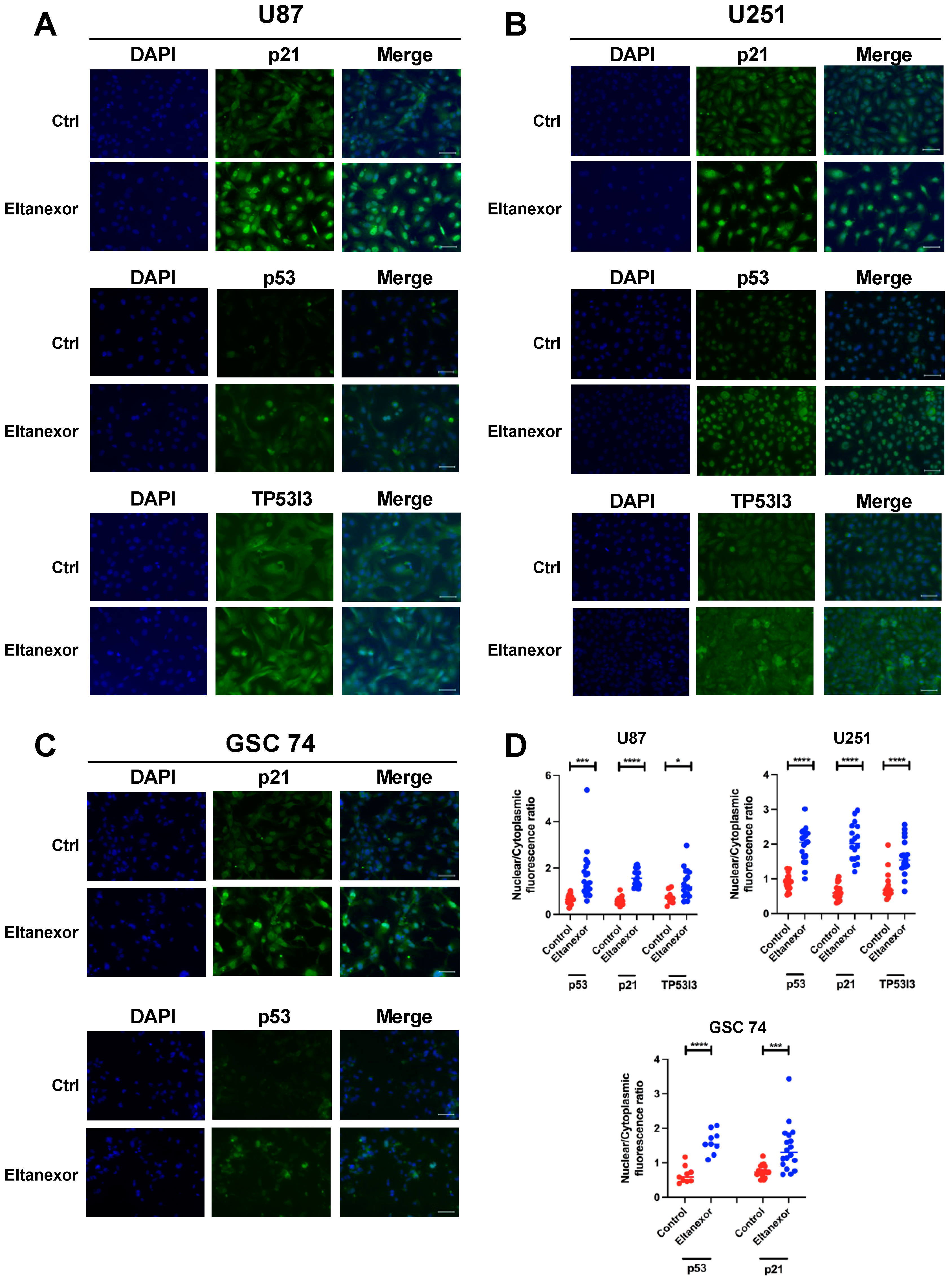 Biomedicines 10 02145 g004