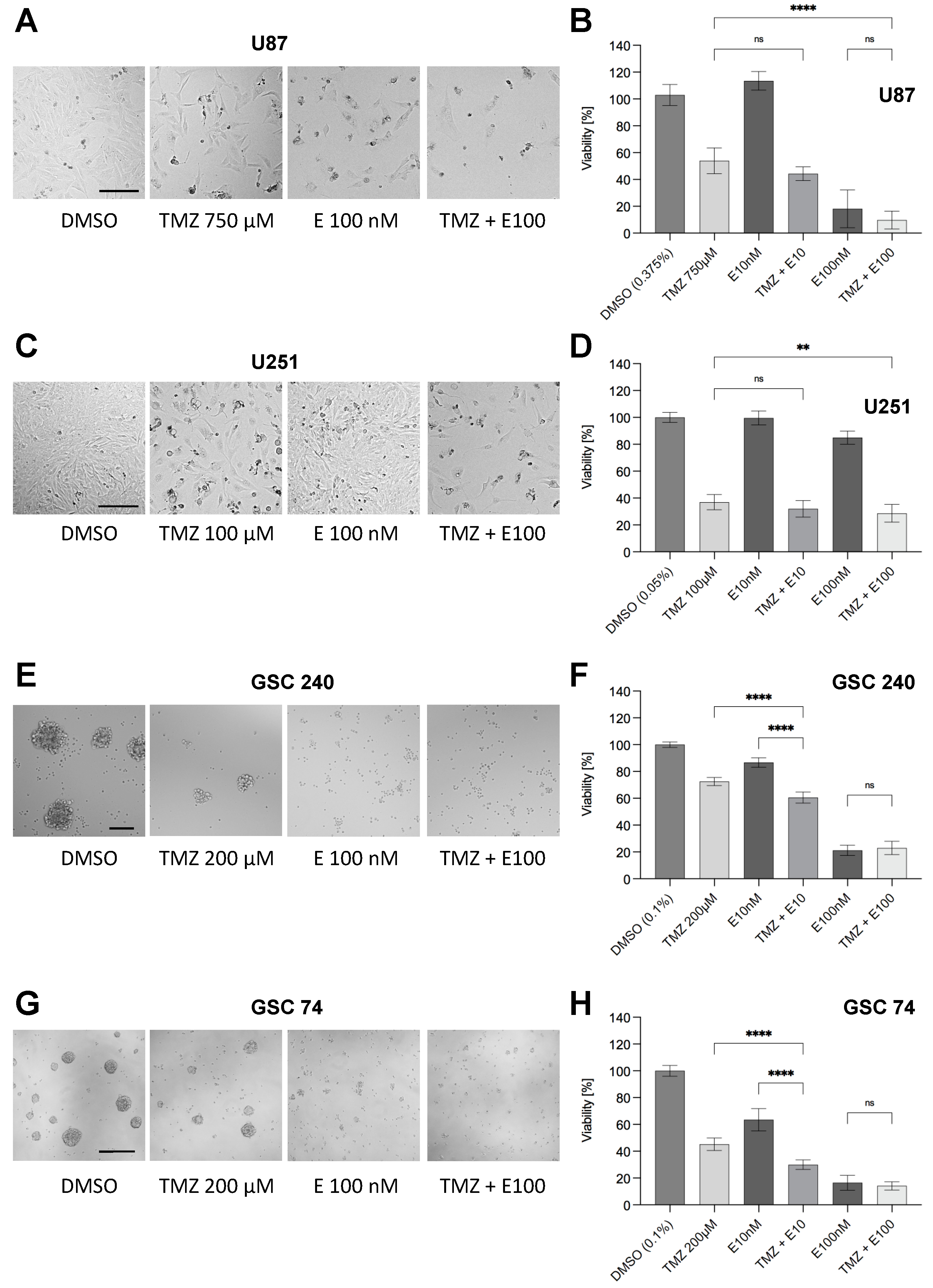 Biomedicines 10 02145 g005
