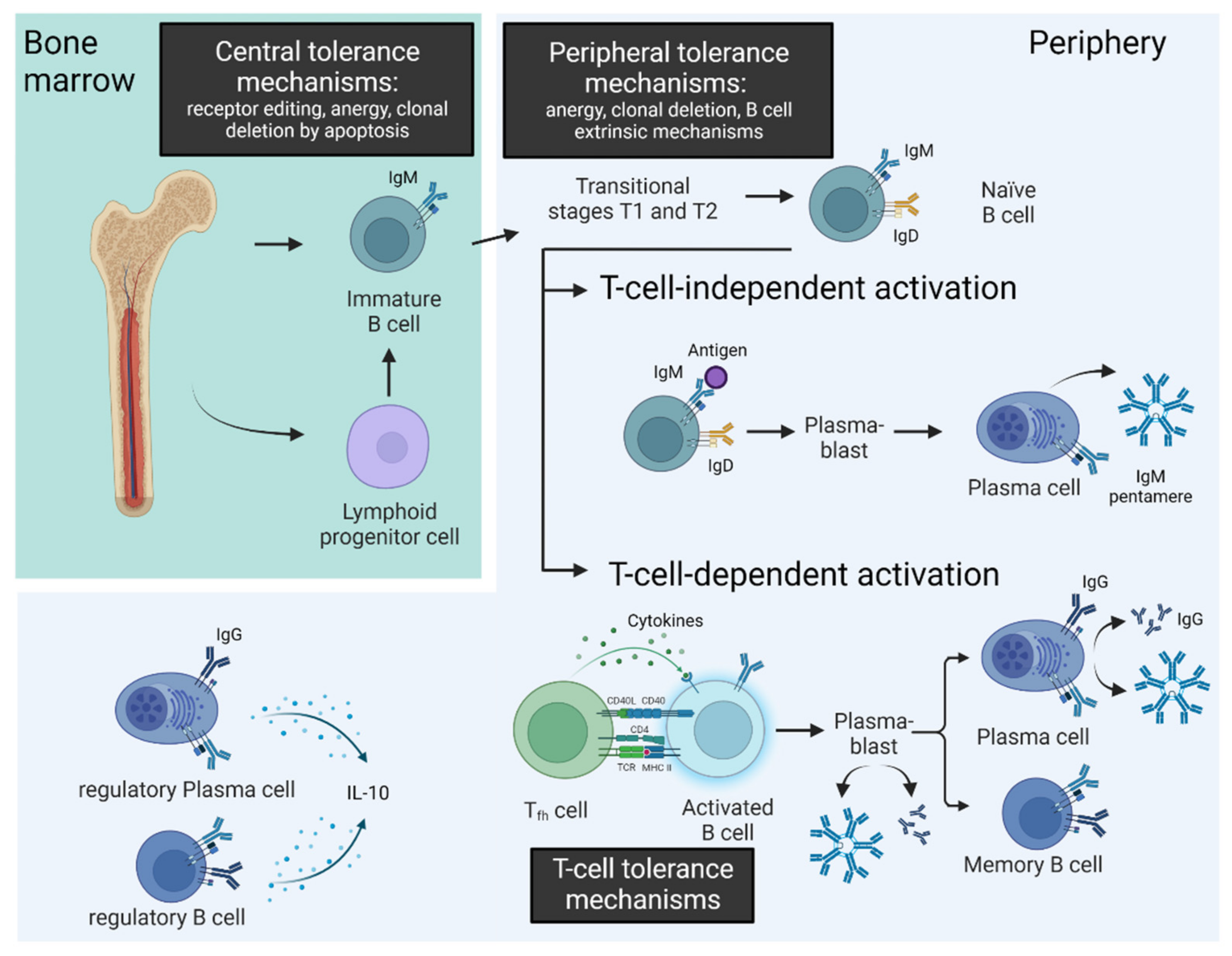Biomedicines 10 02150 g001