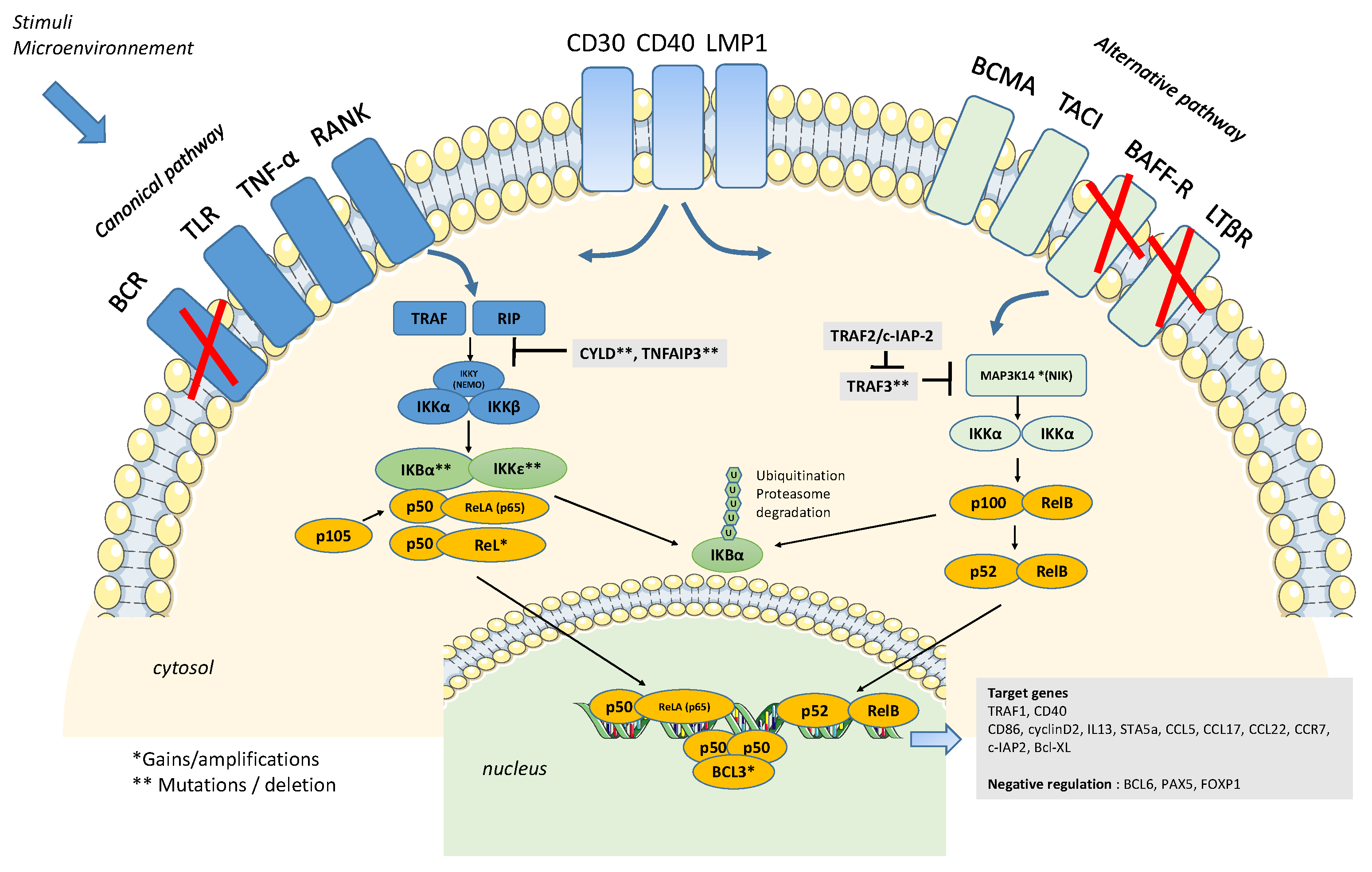 Biomedicines 10 02153 g002