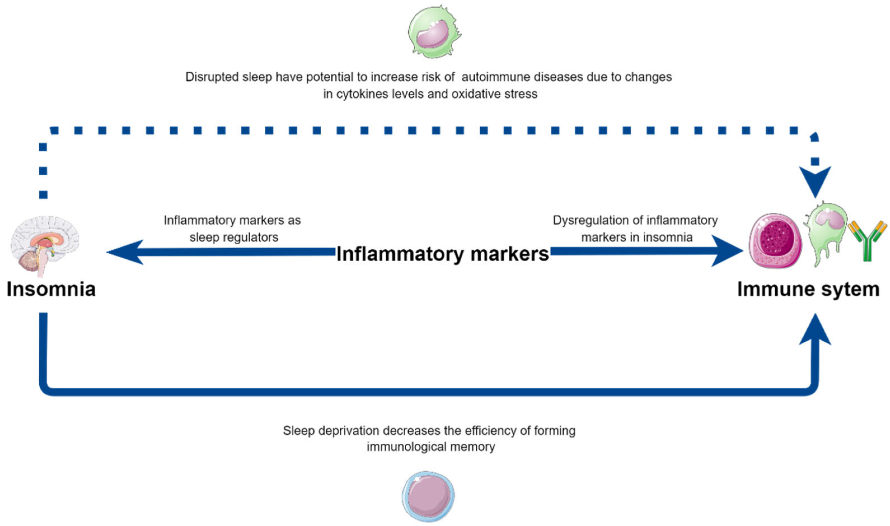 Biomedicines 10 02159 g002 Biomedicines 10 02159 g002