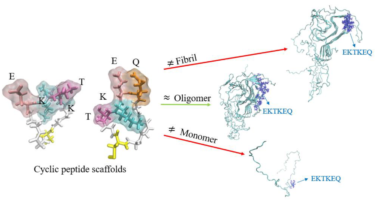 Biomedicines 10 02168 g001
