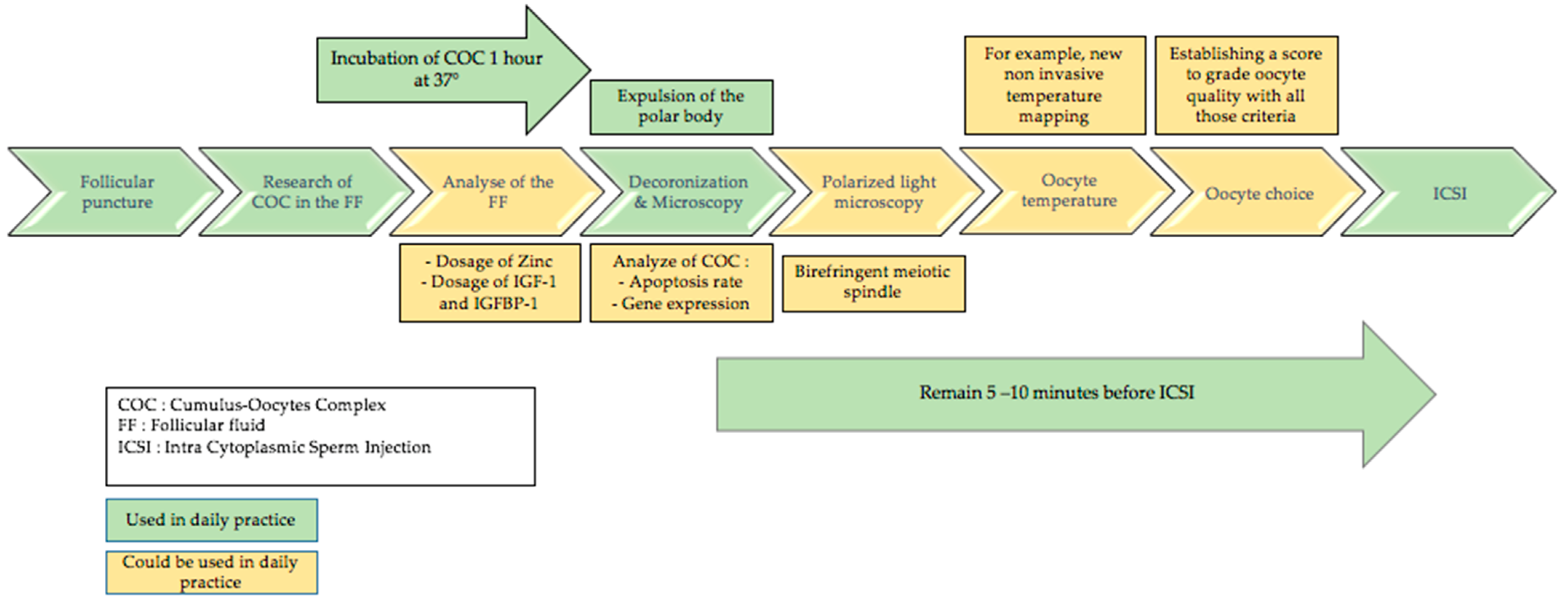 Biomedicines 10 02184 g002