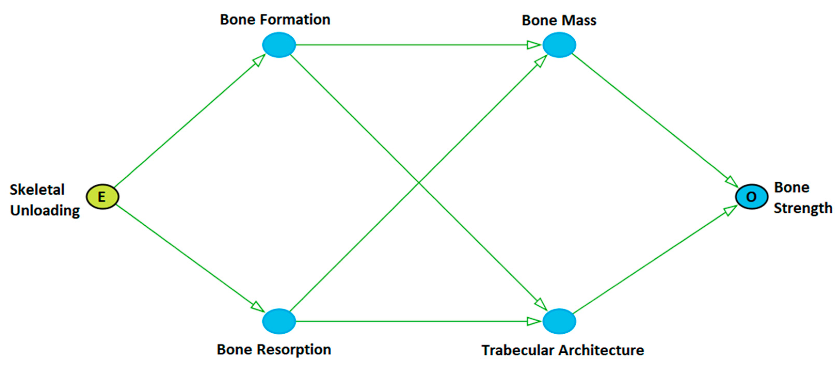 Biomedicines 10 02187 g001