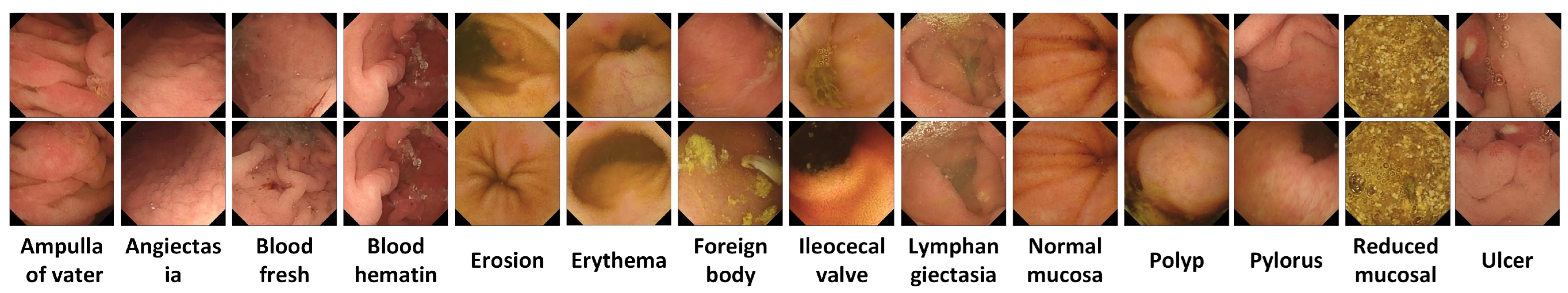 Biomedicines 10 02195 g002