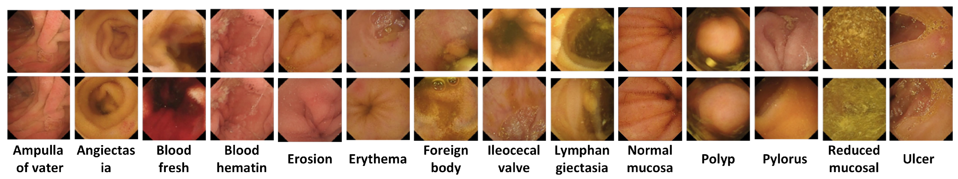 Biomedicines 10 02195 g003
