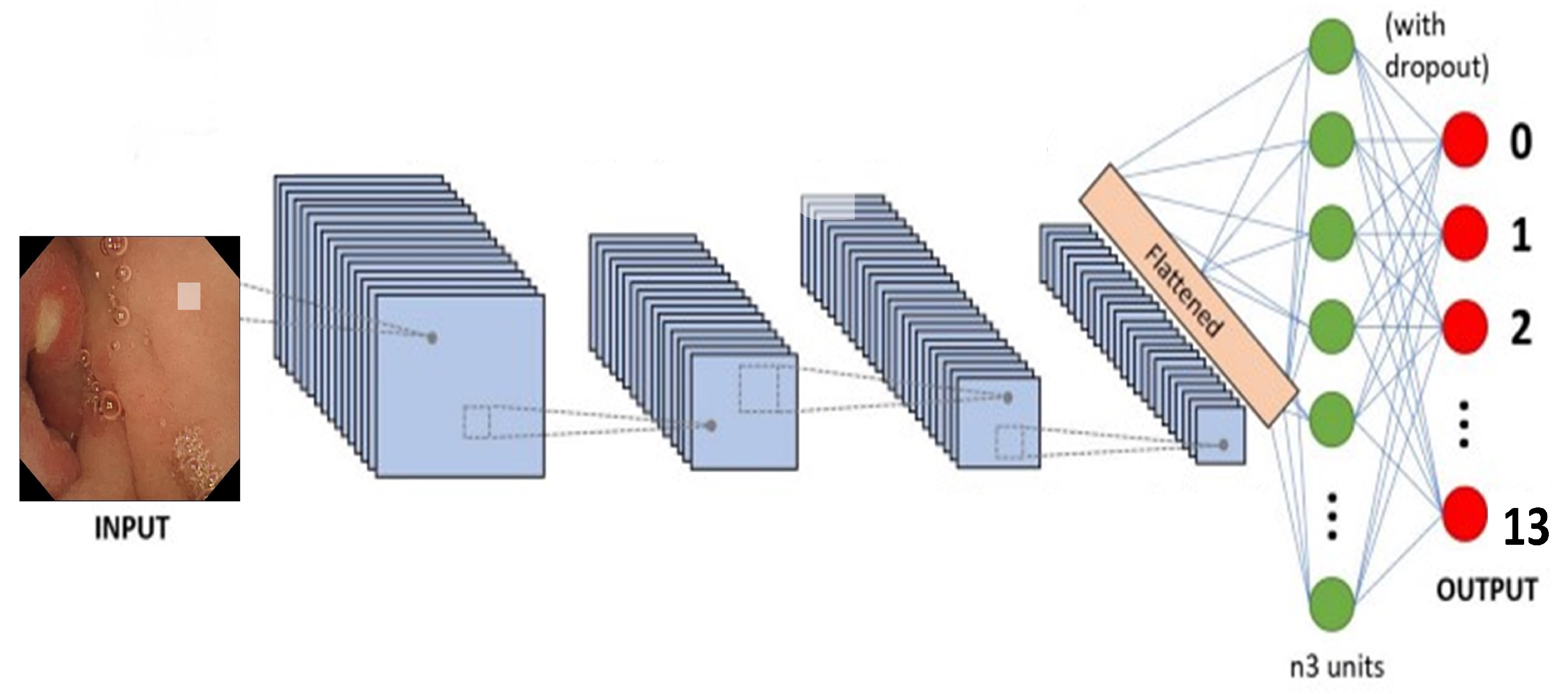 Biomedicines 10 02195 g005