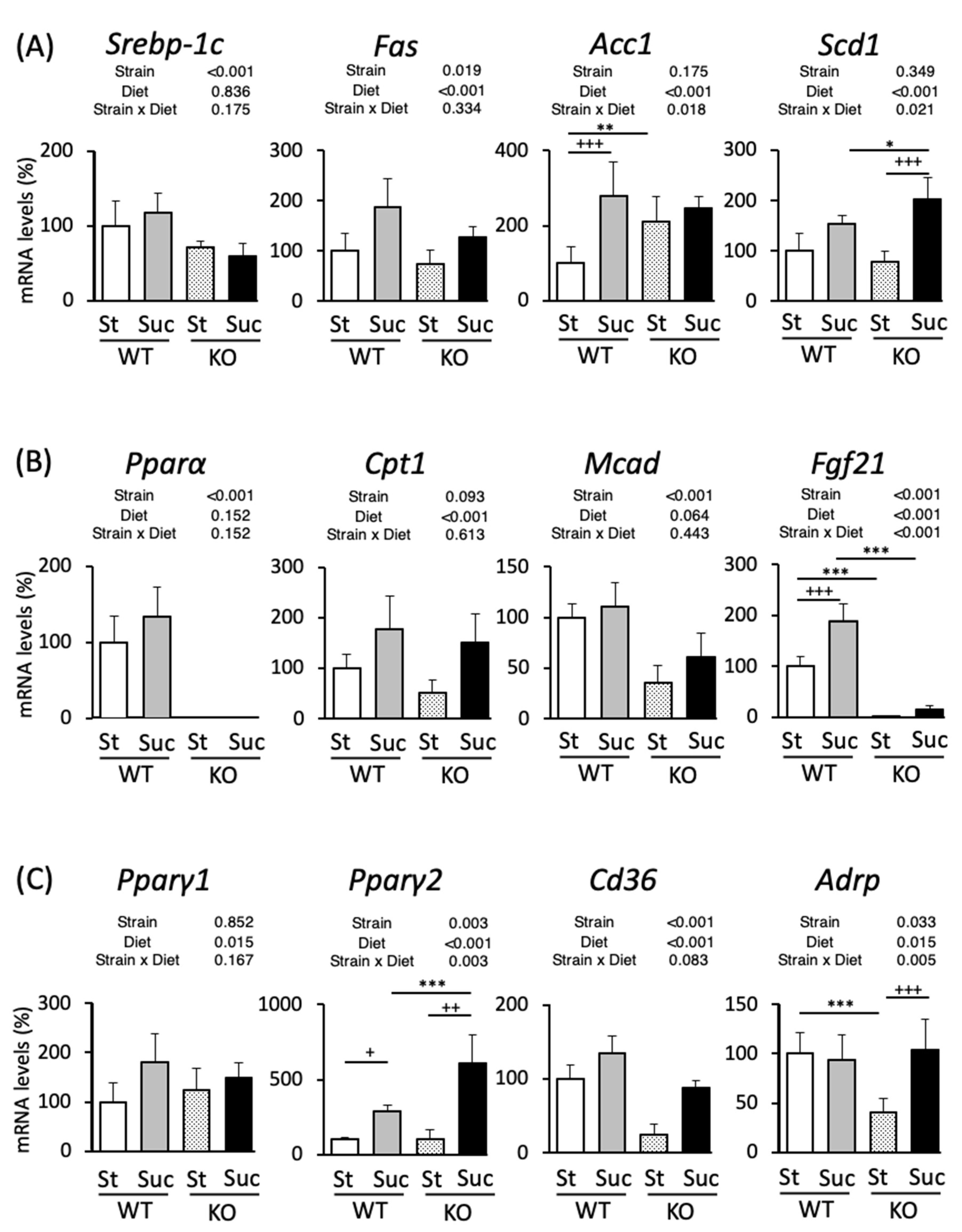 Biomedicines 10 02199 g004