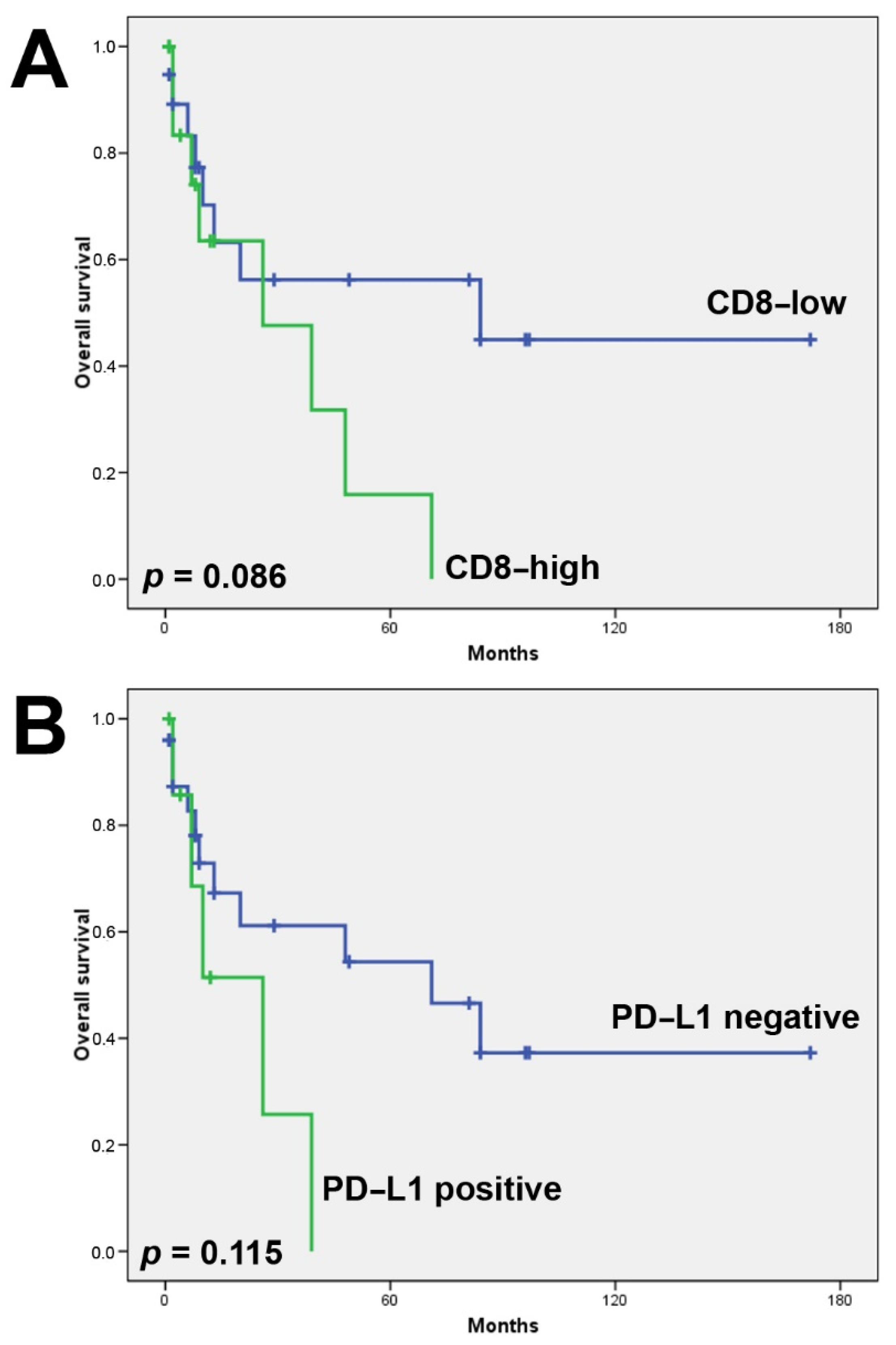 Biomedicines 10 02205 g004