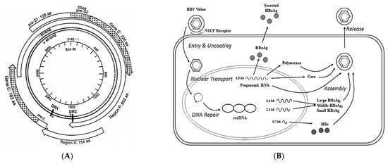 Biomedicines 10 02210 g001 550