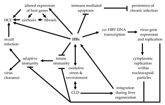 Biomedicines 10 02210 g002 550