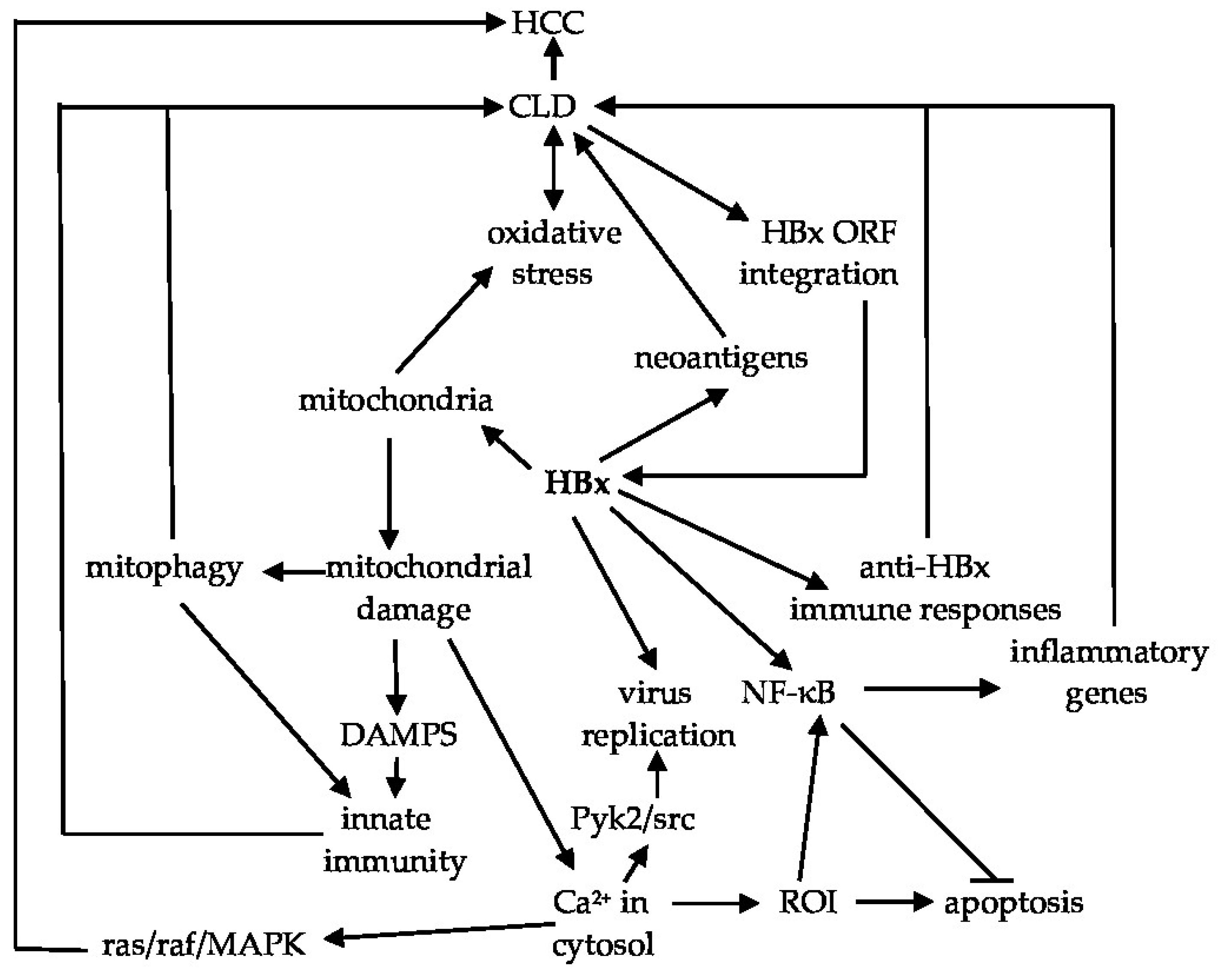 Biomedicines 10 02210 g003