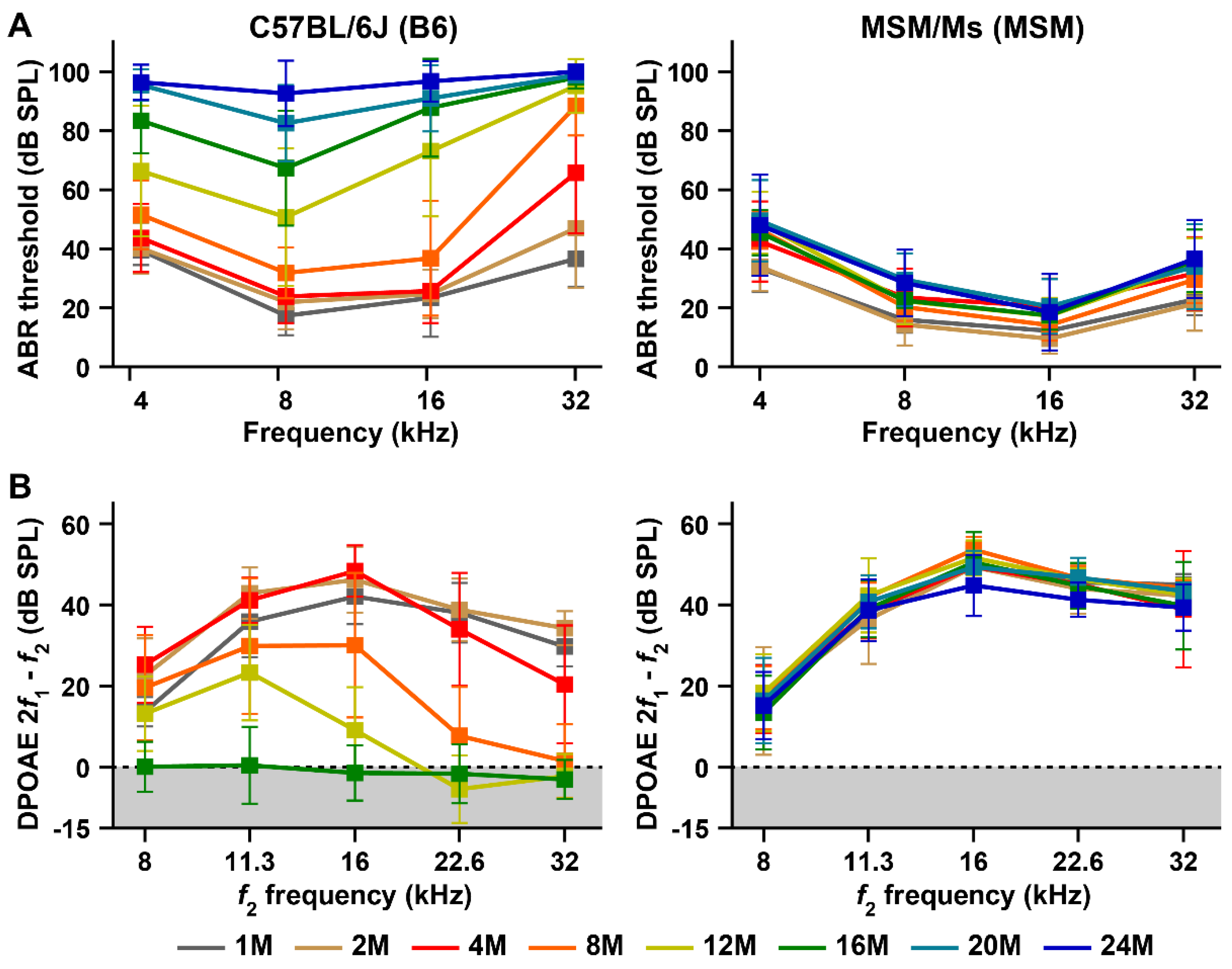 Biomedicines 10 02221 g001