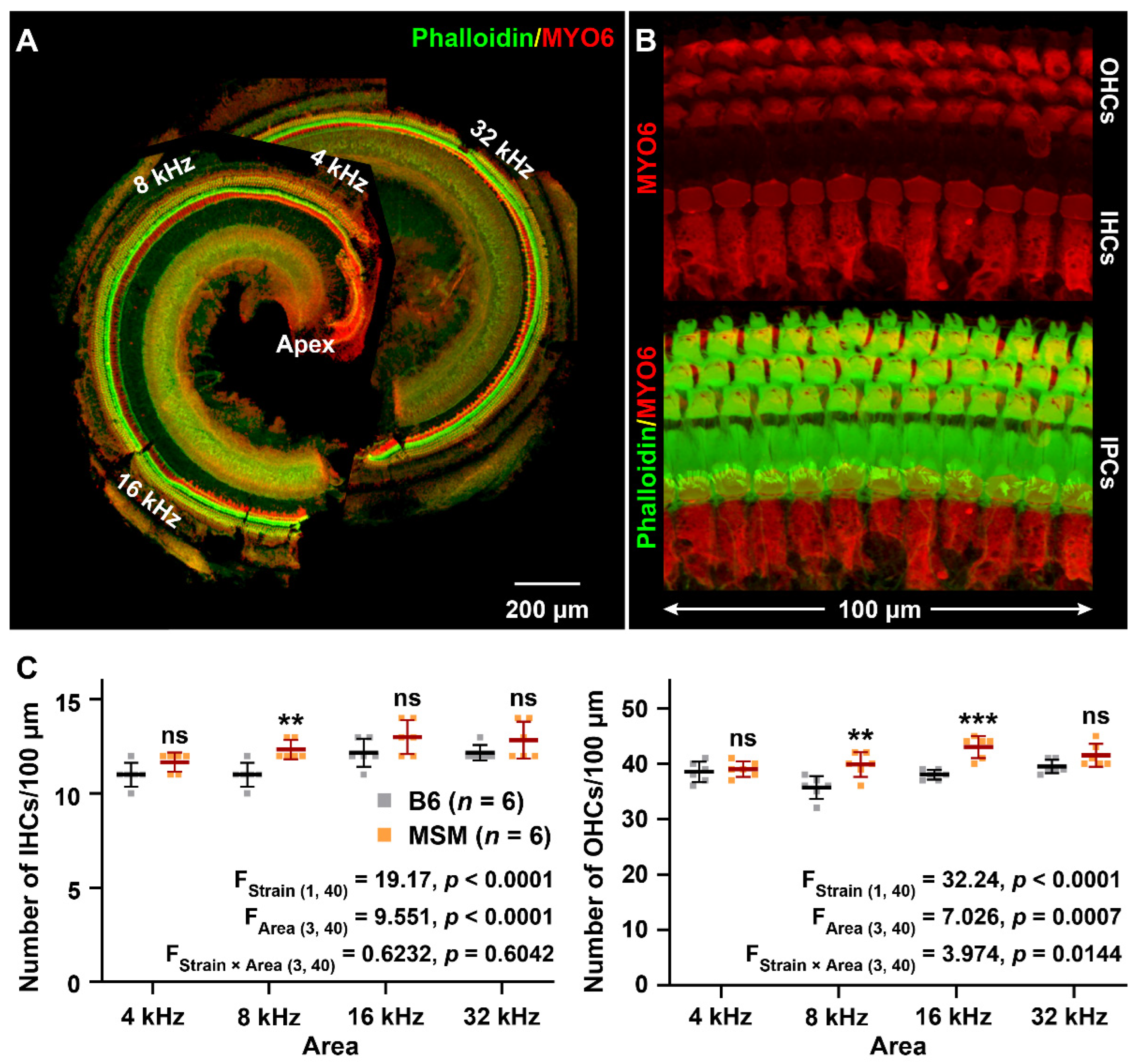 Biomedicines 10 02221 g002