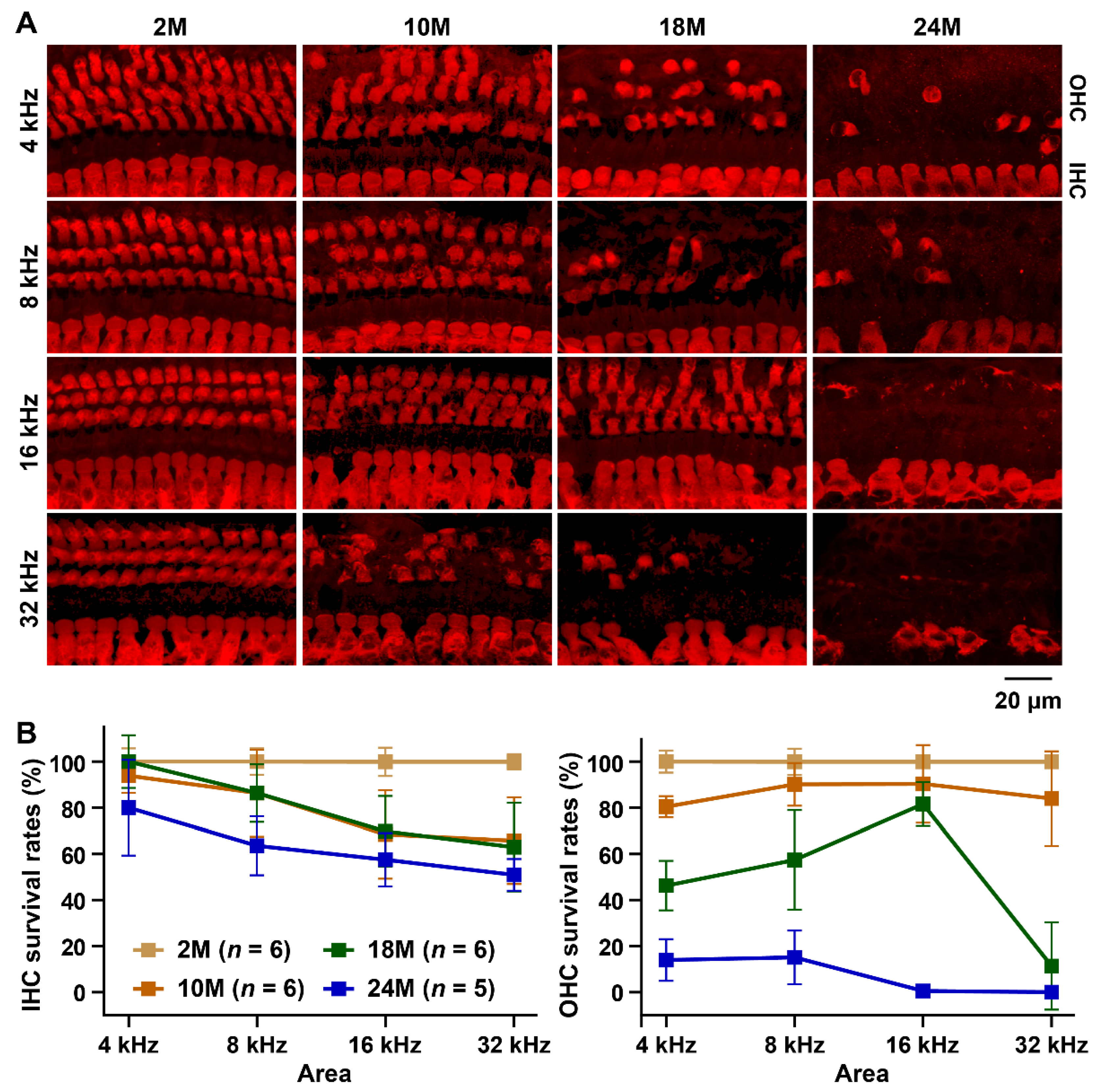 Biomedicines 10 02221 g003