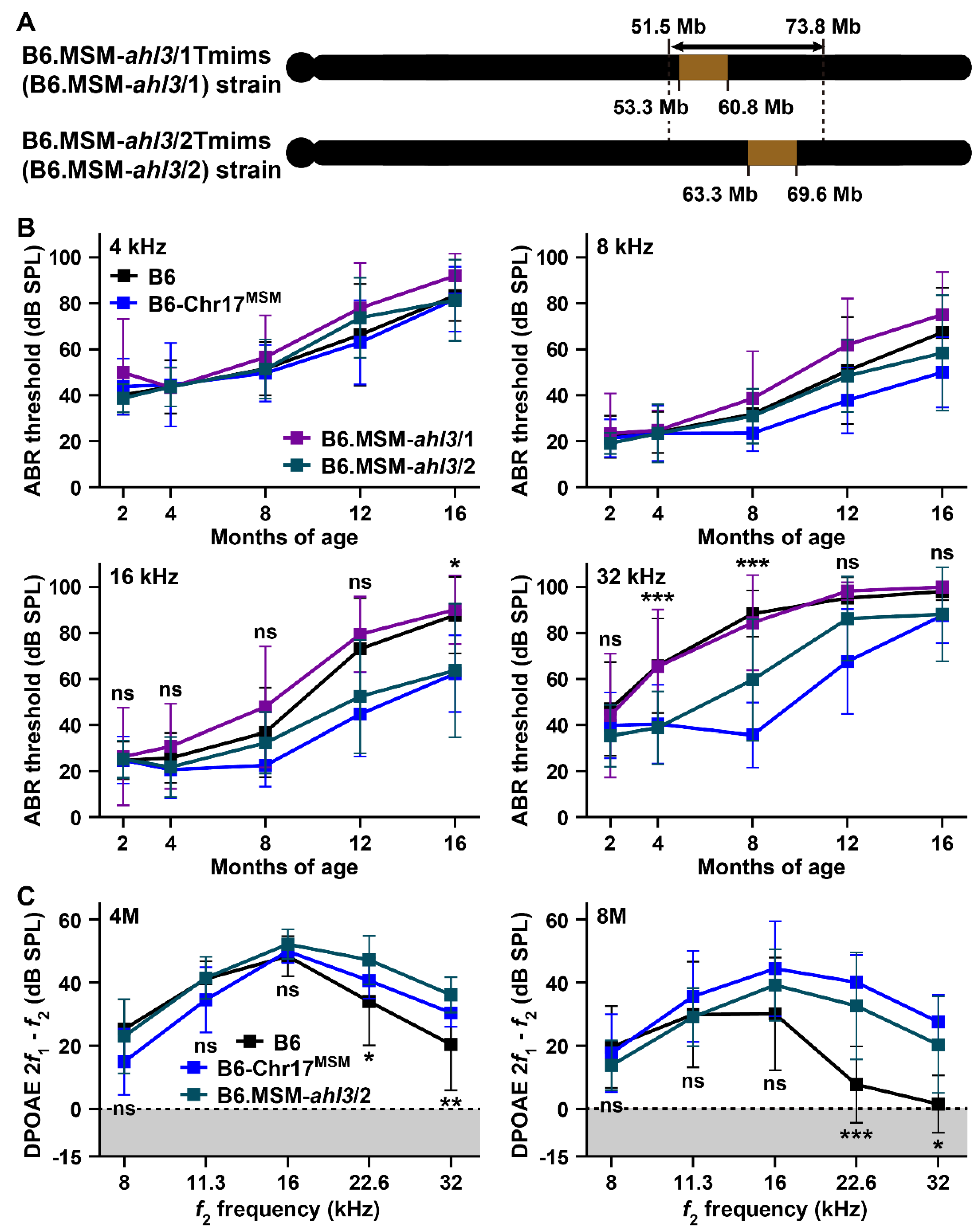 Biomedicines 10 02221 g007
