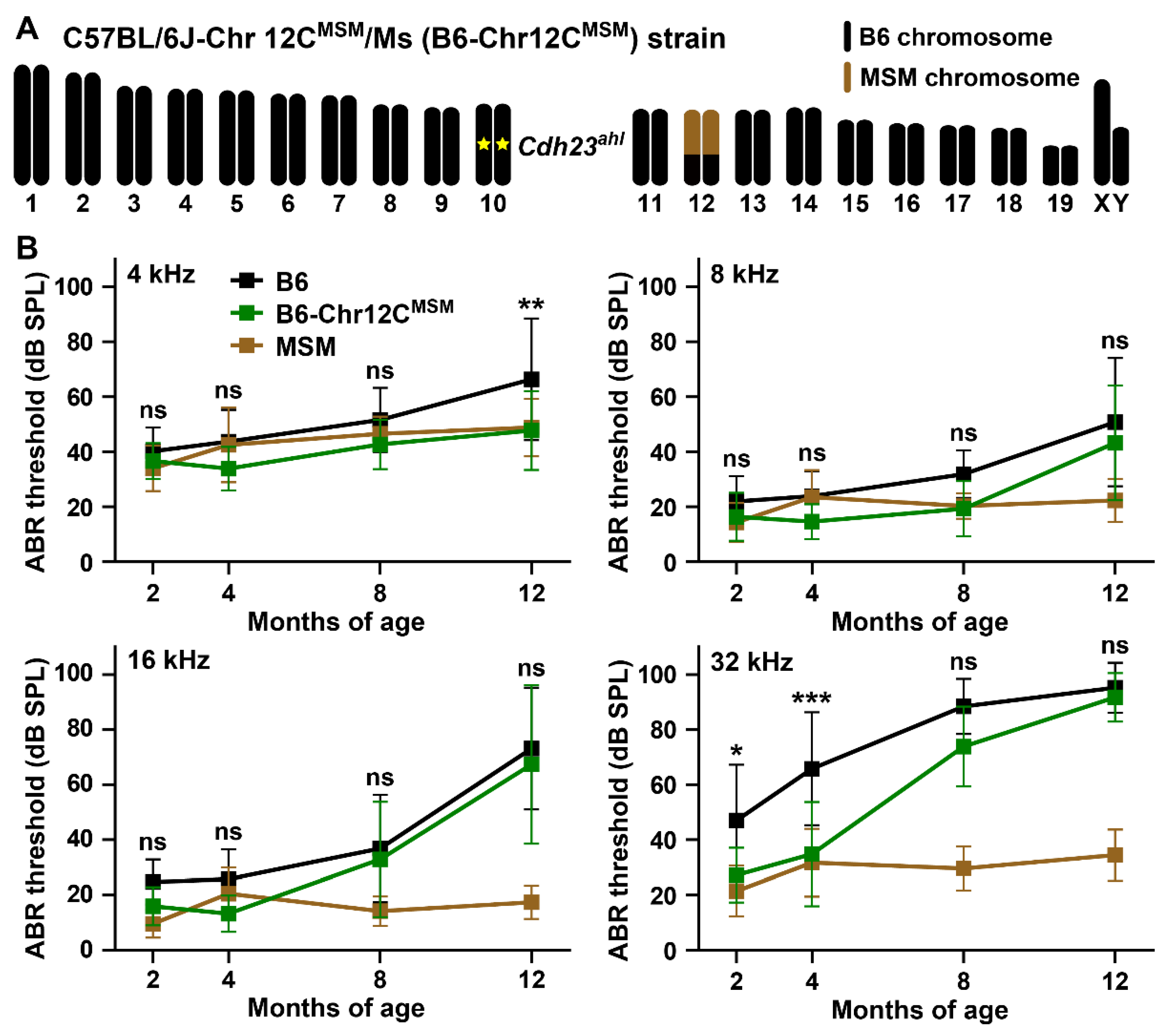 Biomedicines 10 02221 g008