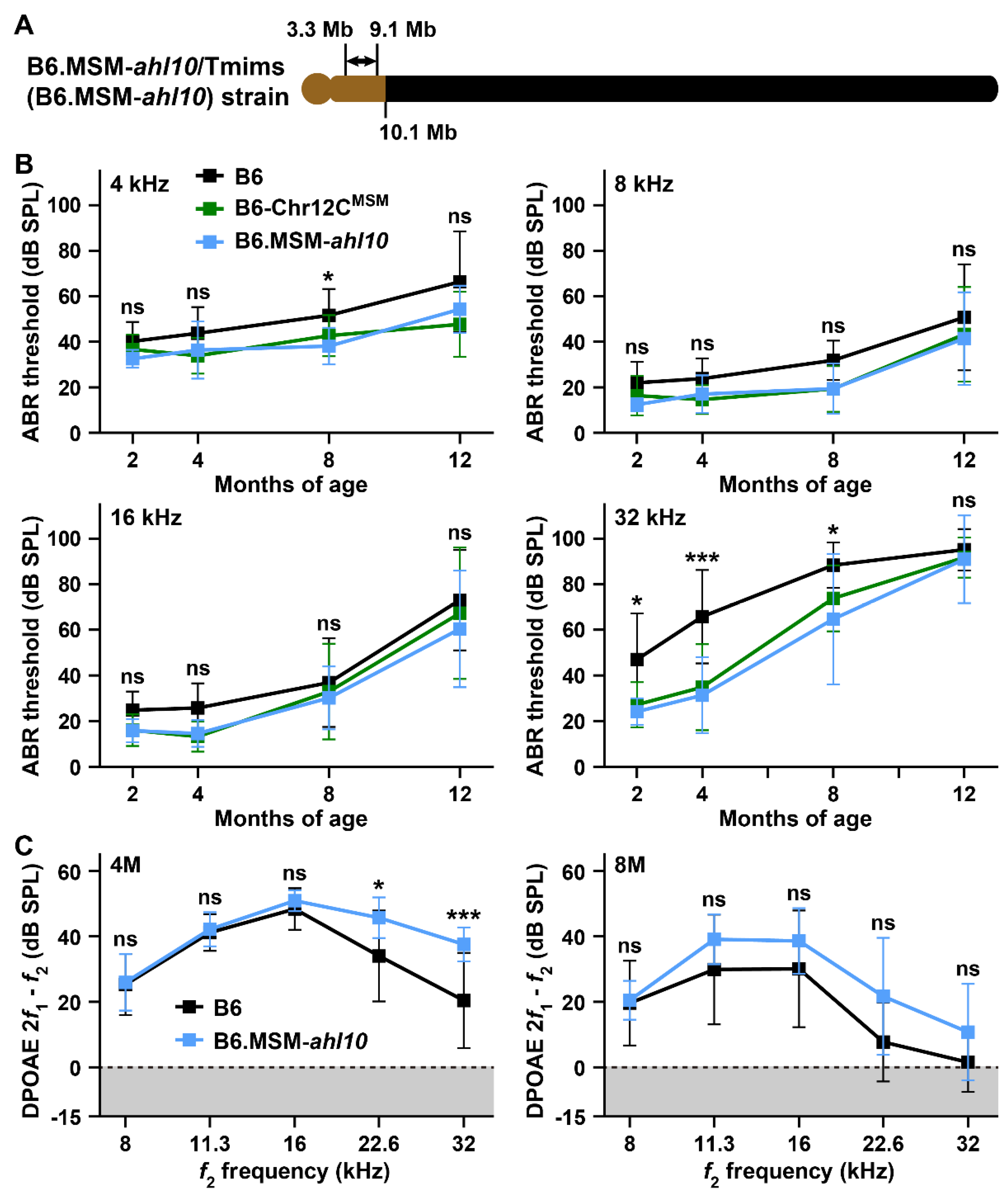 Biomedicines 10 02221 g010