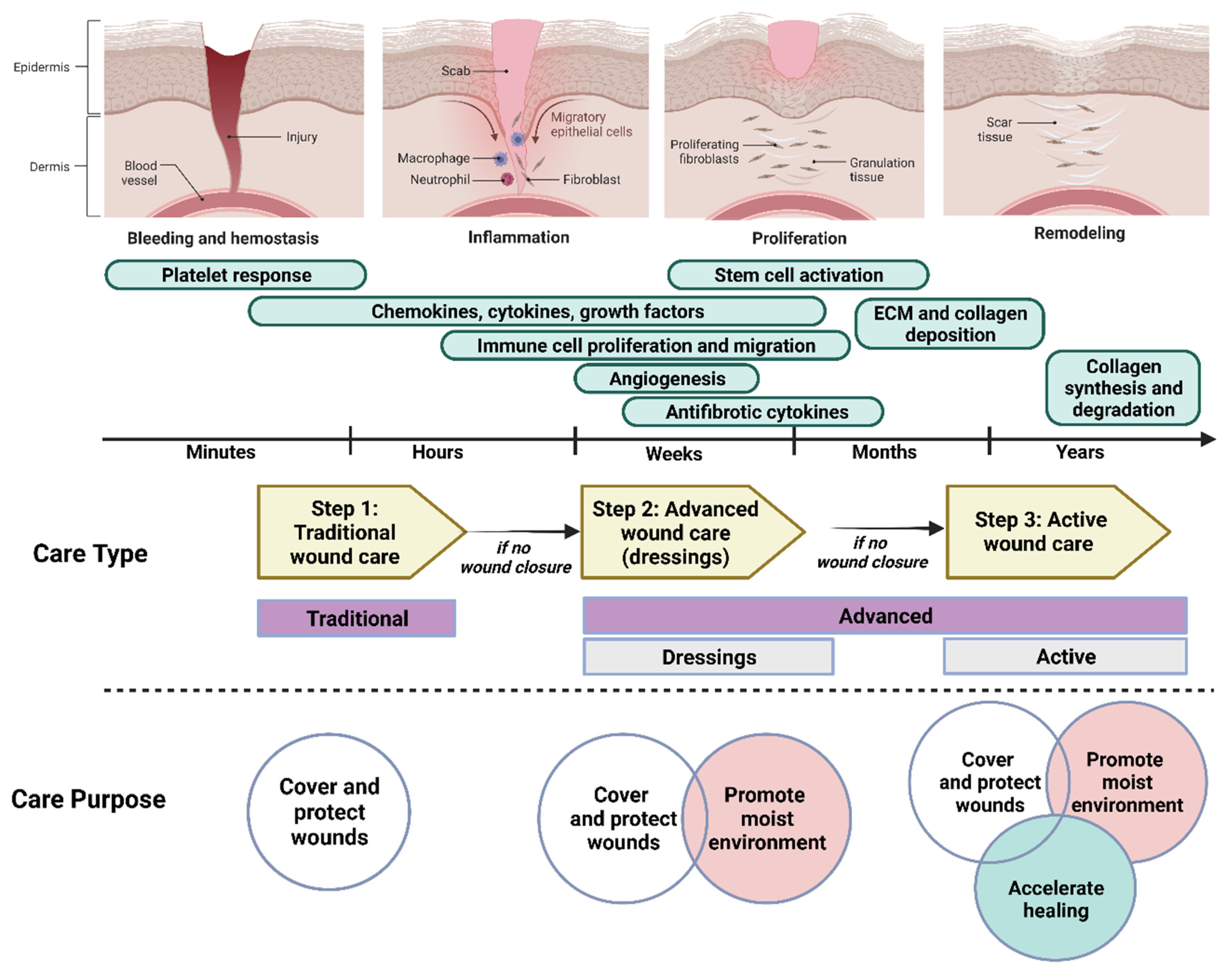 Biomedicines 10 02226 g001