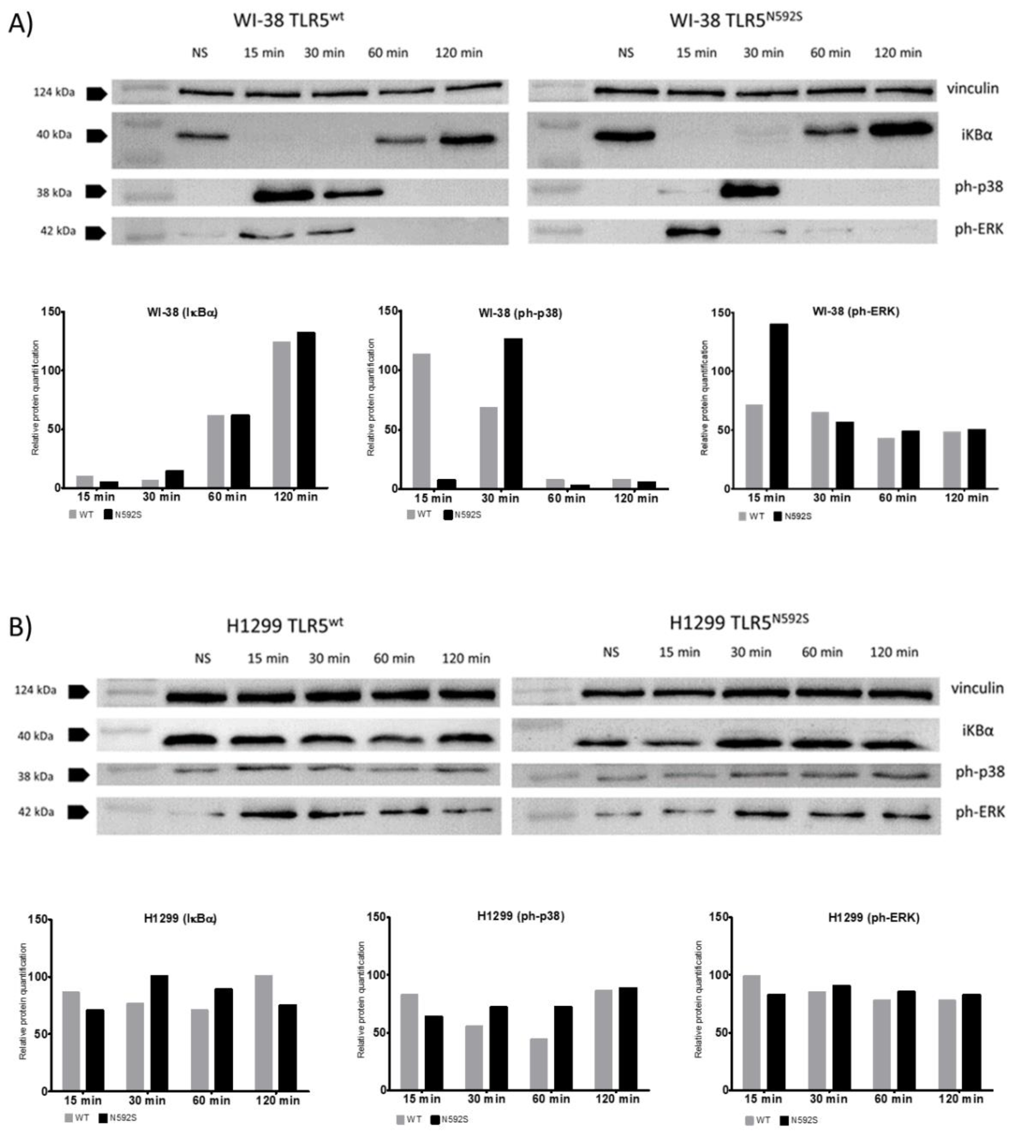 Biomedicines 10 02240 g003