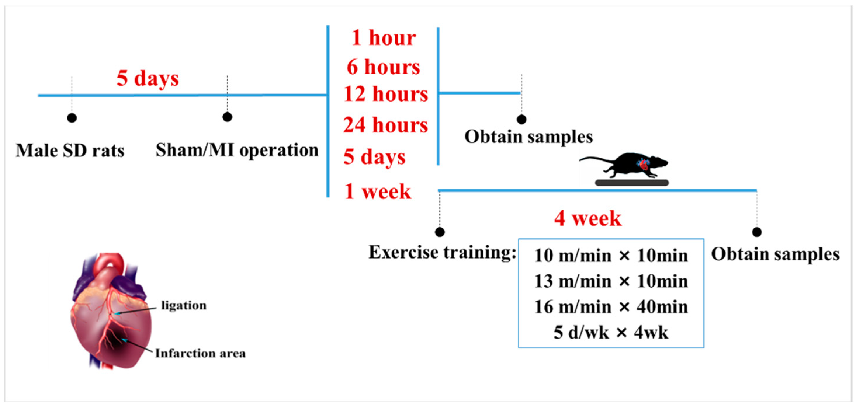 Biomedicines 10 02250 g001 Biomedicines 10 02250 g001