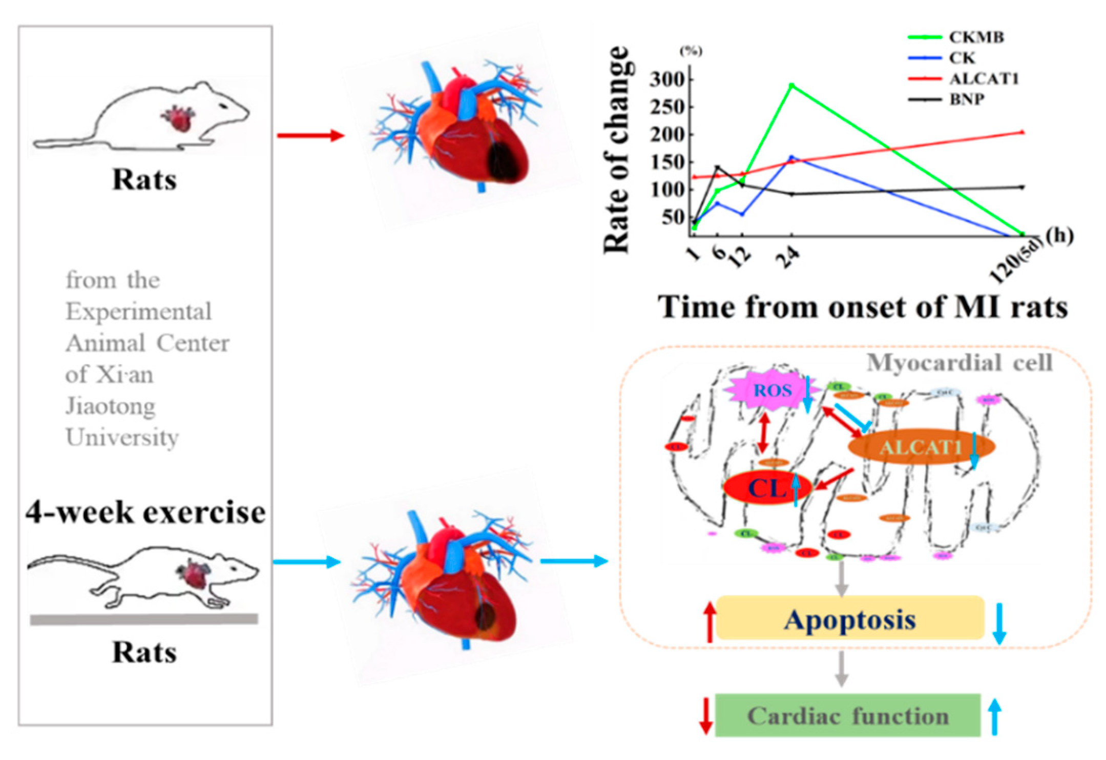Biomedicines 10 02250 g010 Biomedicines 10 02250 g010