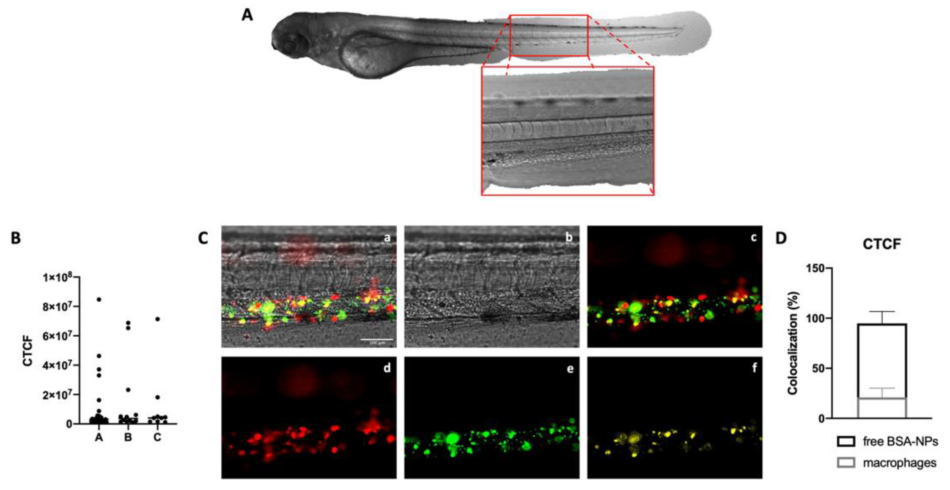 Biomedicines 10 02252 g003