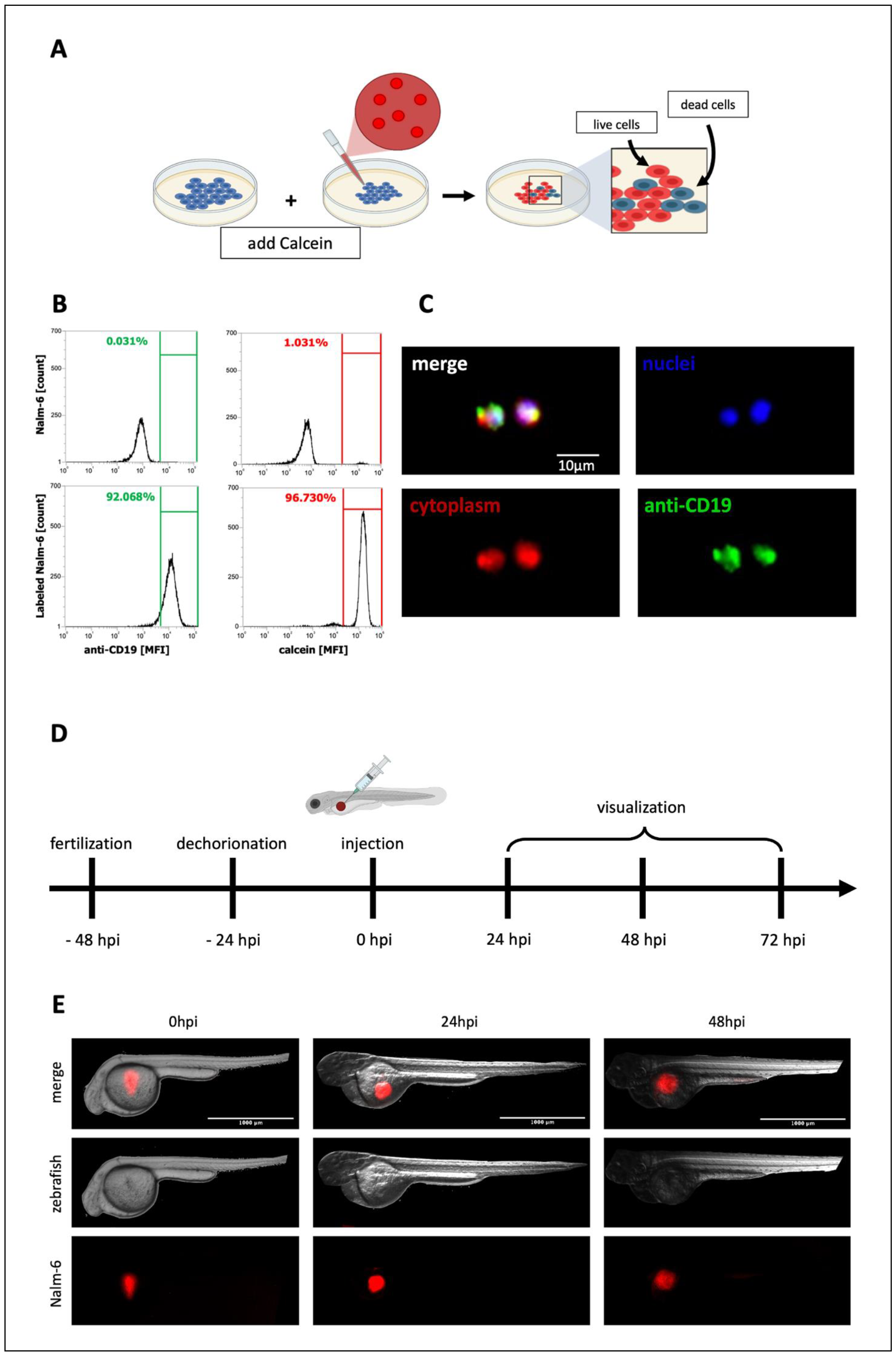 Biomedicines 10 02252 g004