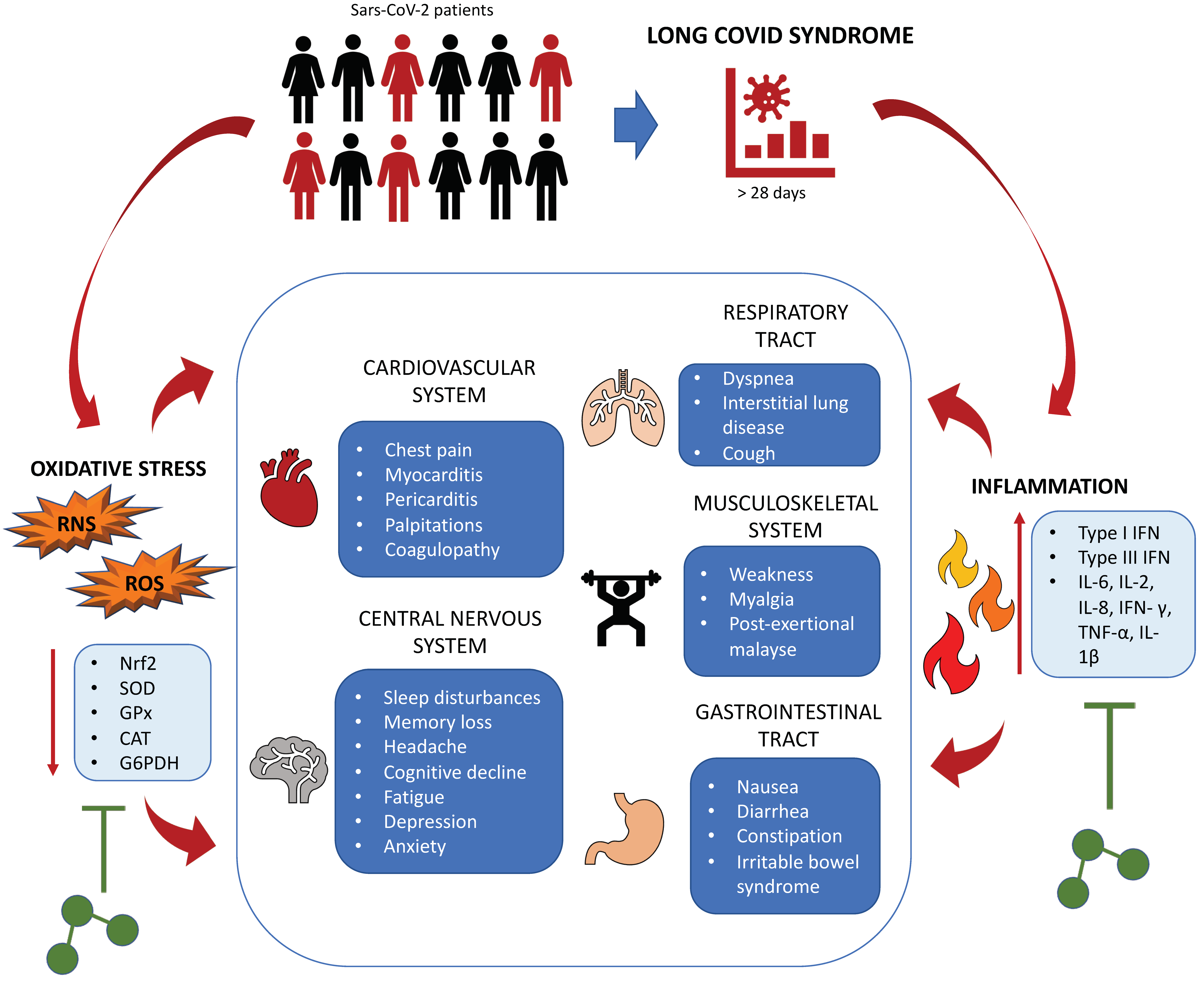 Biomedicines 10 02258 g002