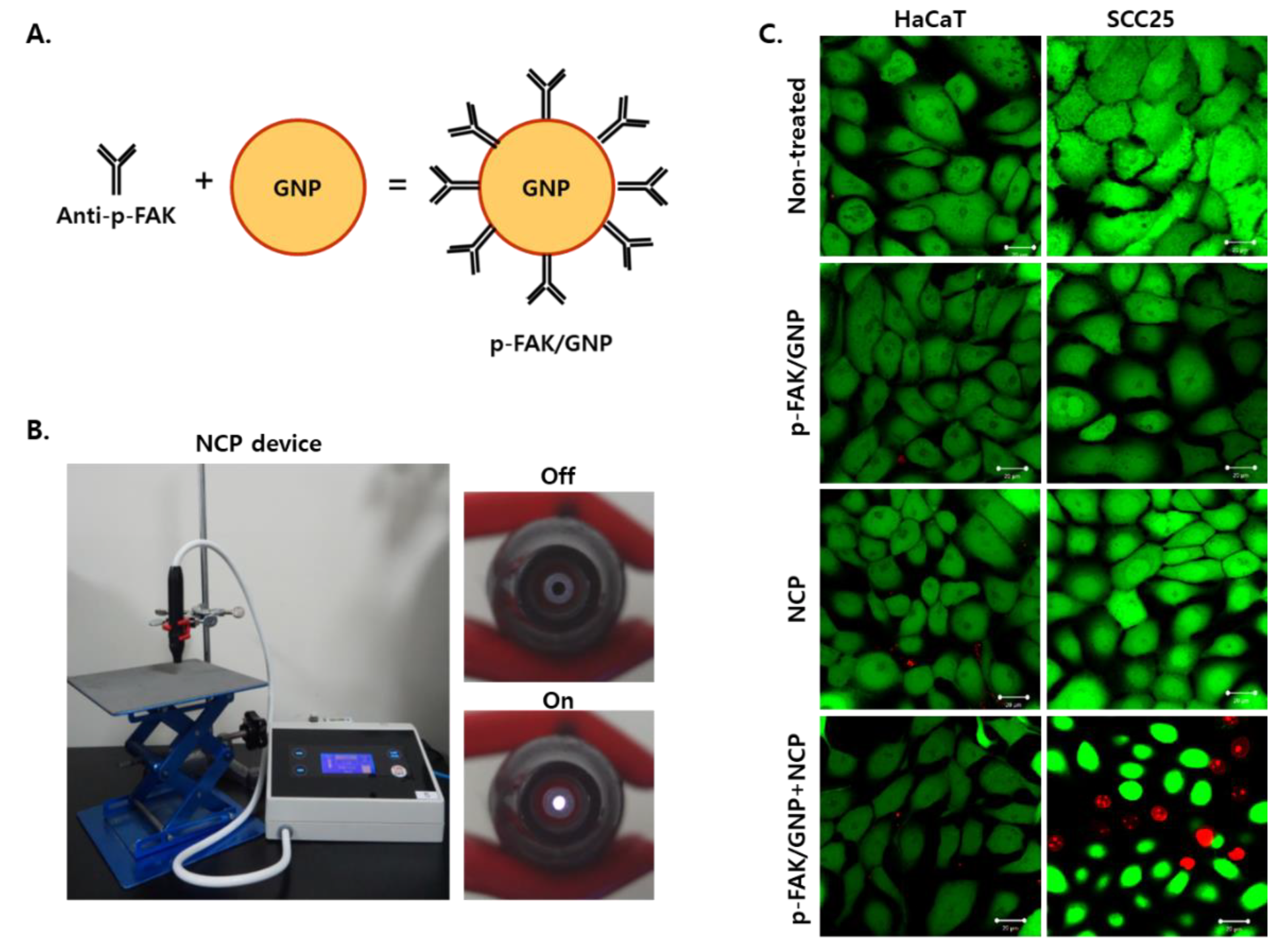 Biomedicines 10 02259 g002