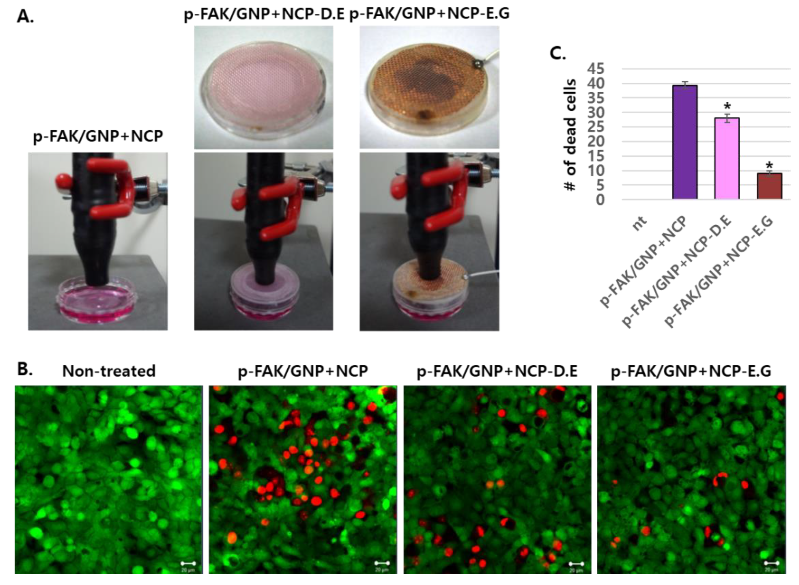 Biomedicines 10 02259 g004