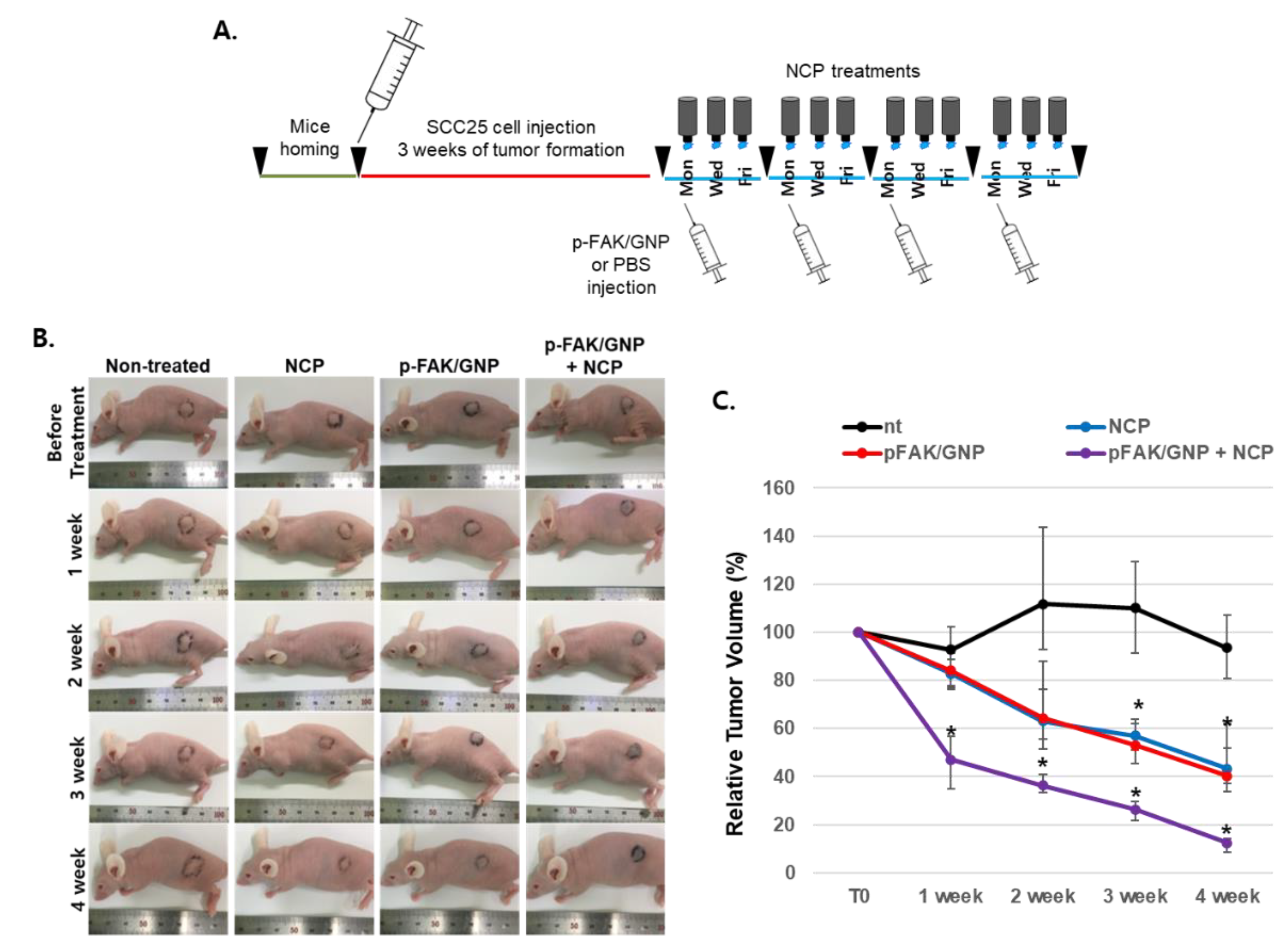Biomedicines 10 02259 g005