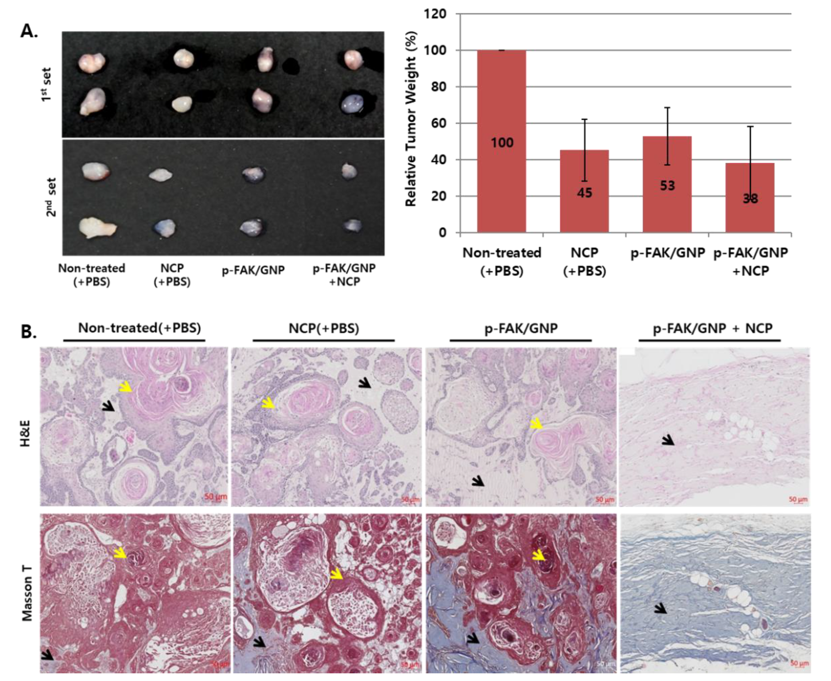 Biomedicines 10 02259 g006