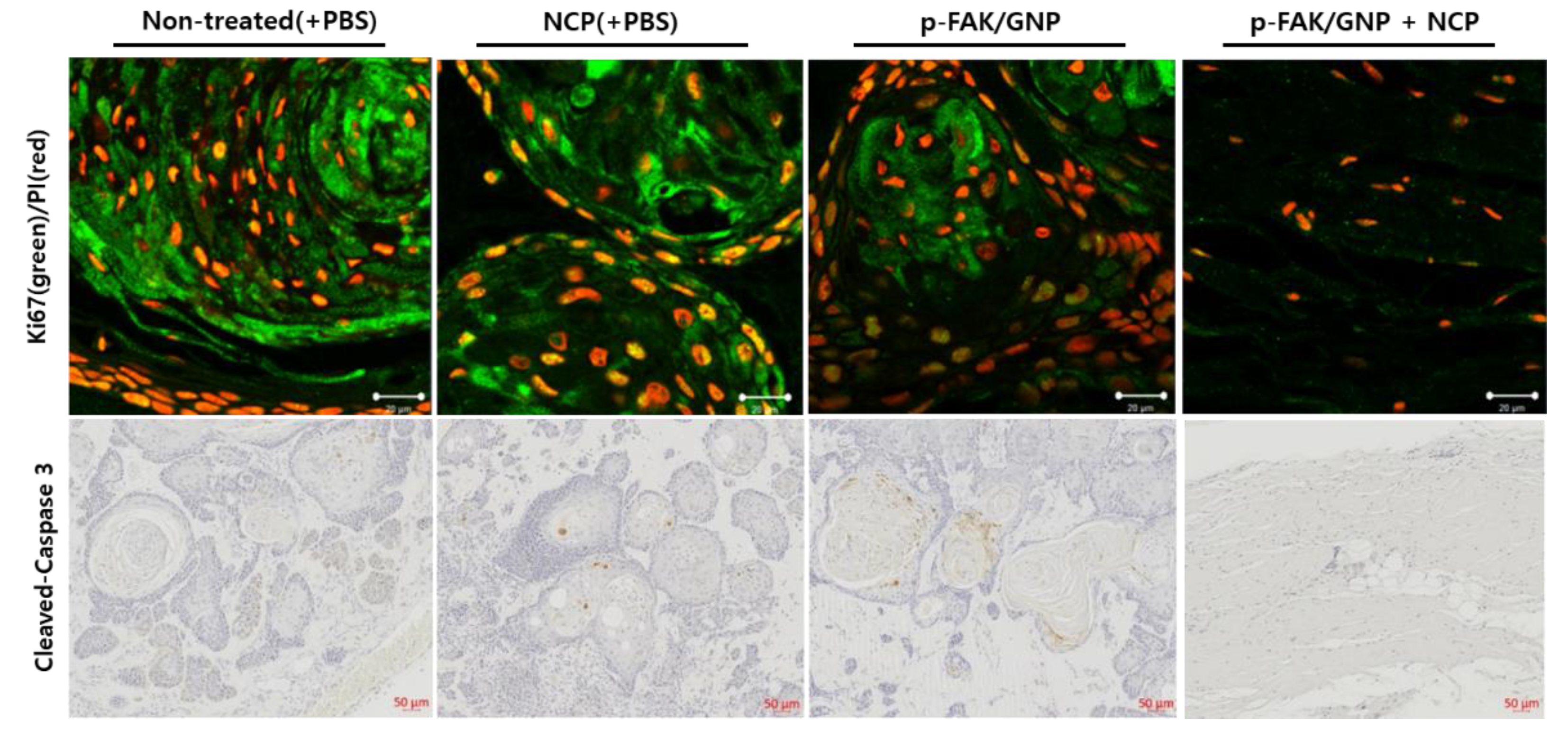 Biomedicines 10 02259 g007