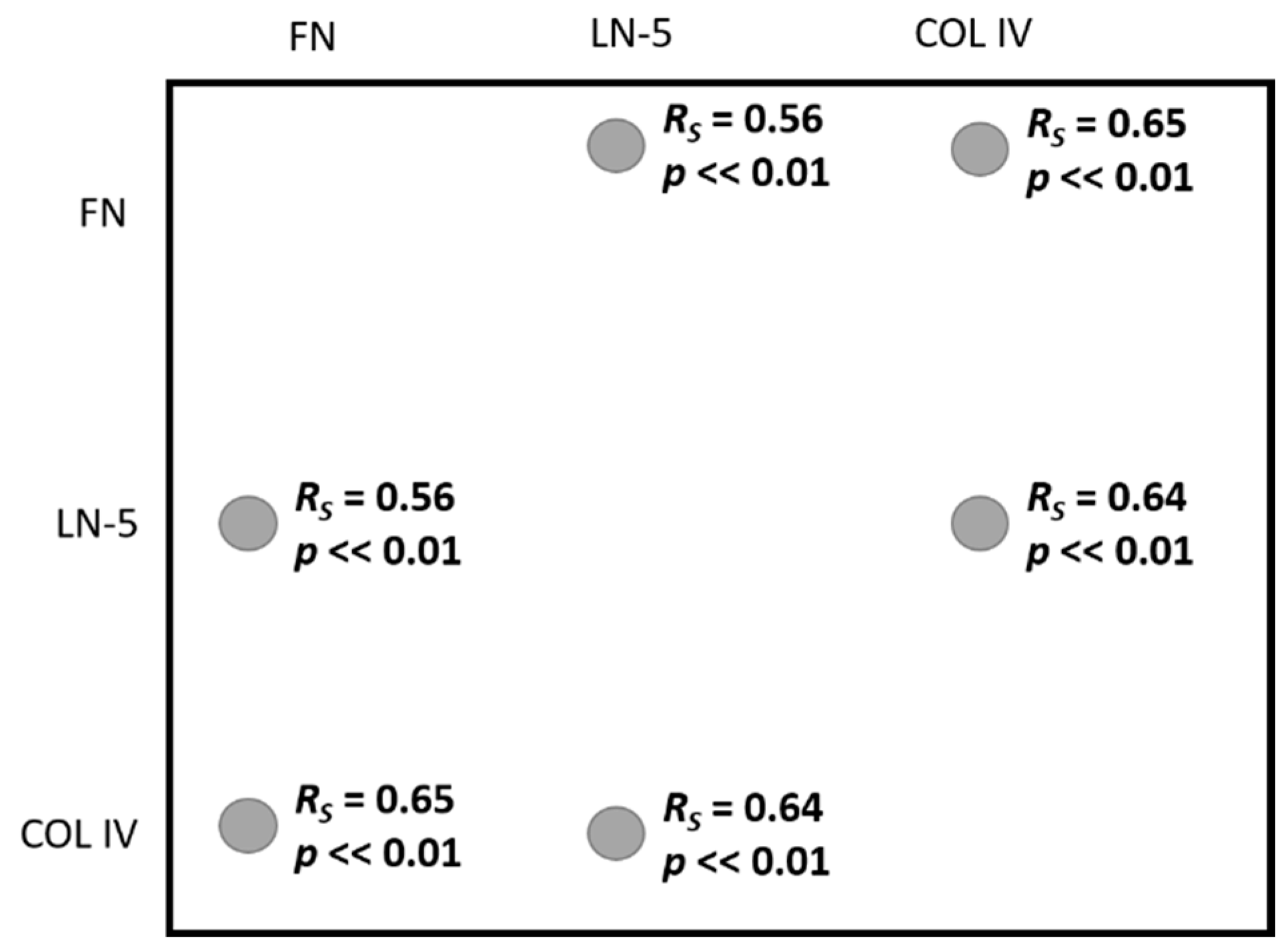 Biomedicines 10 02290 g004