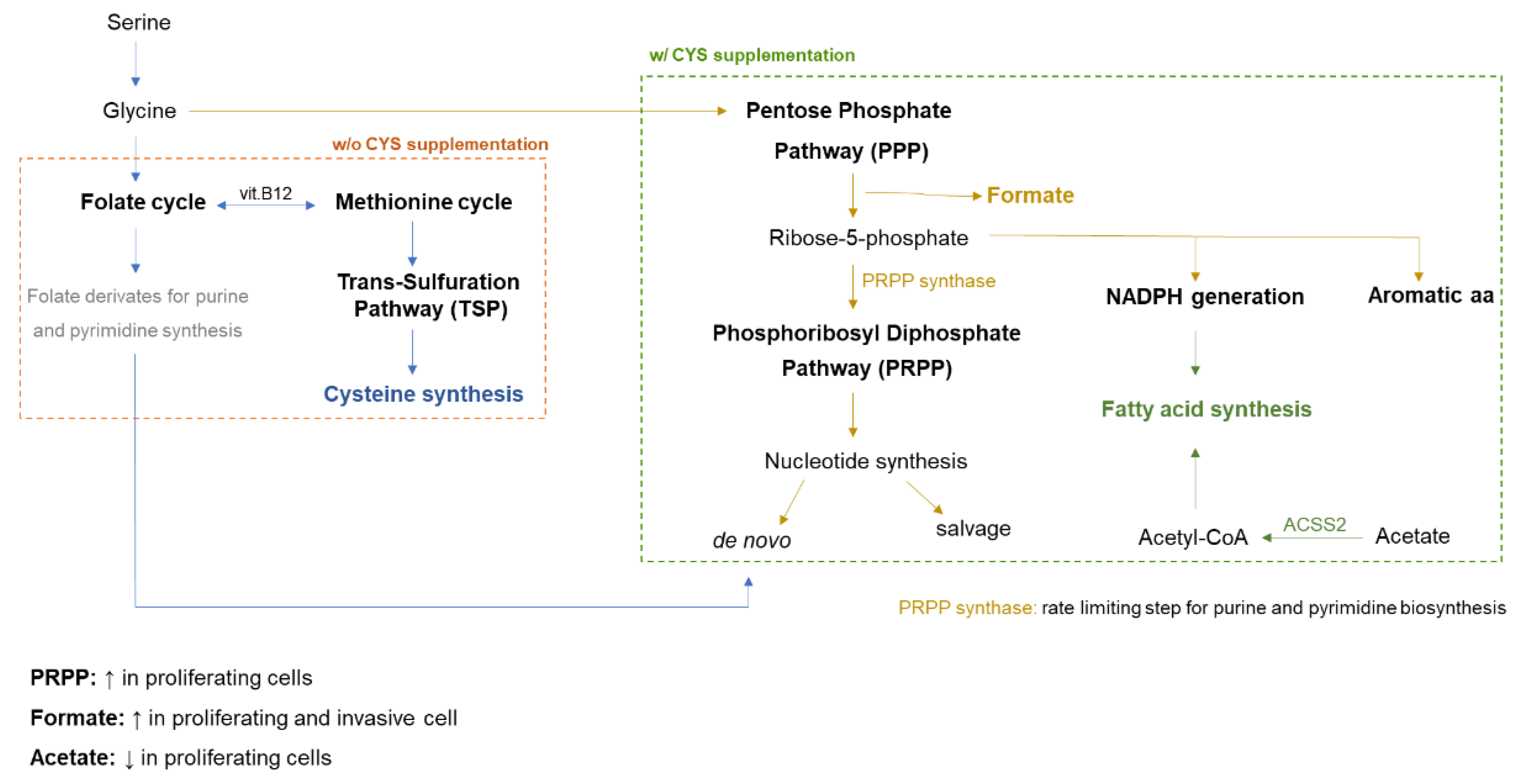 Biomedicines 10 02293 g001