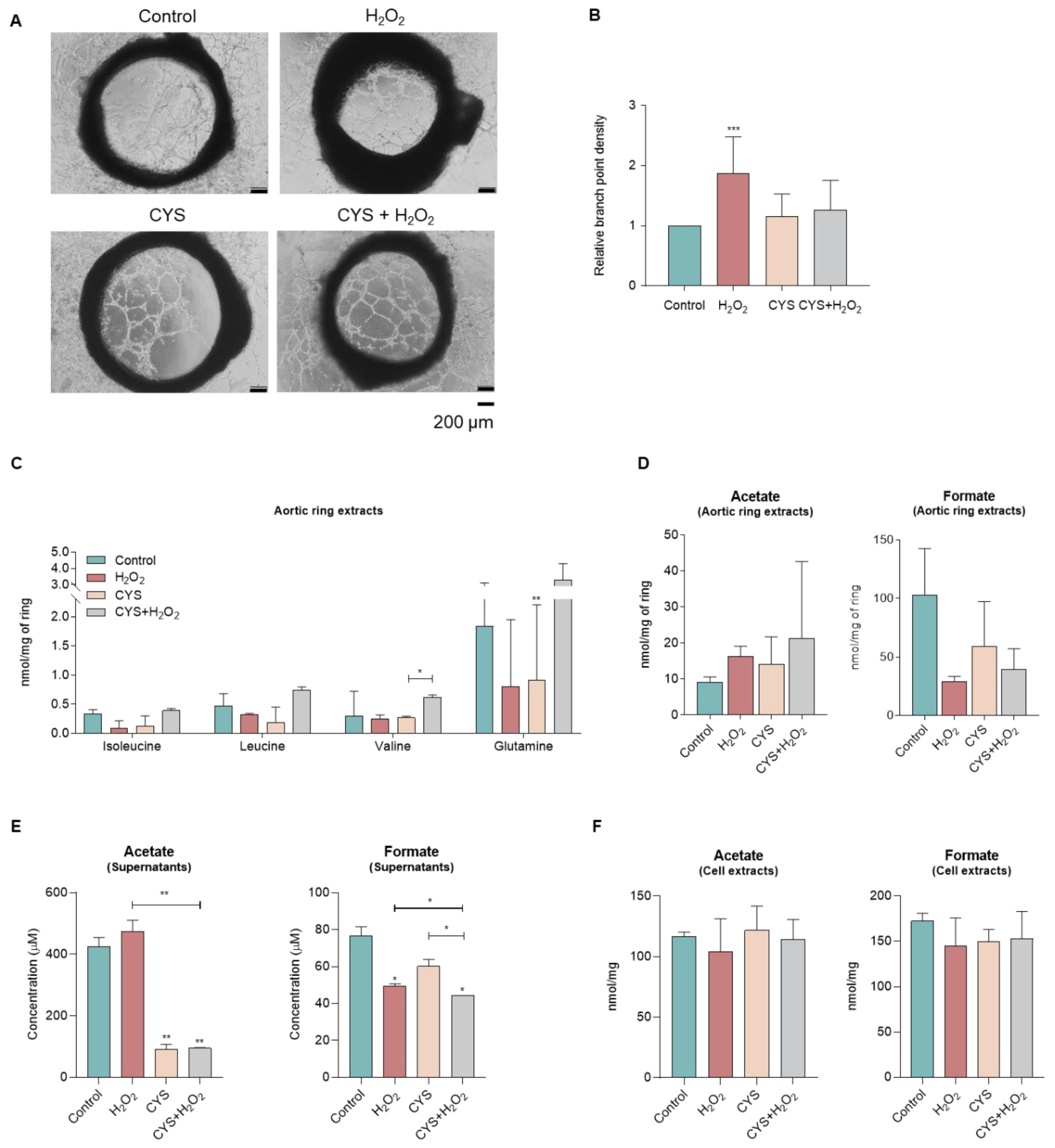 Biomedicines 10 02293 g004a