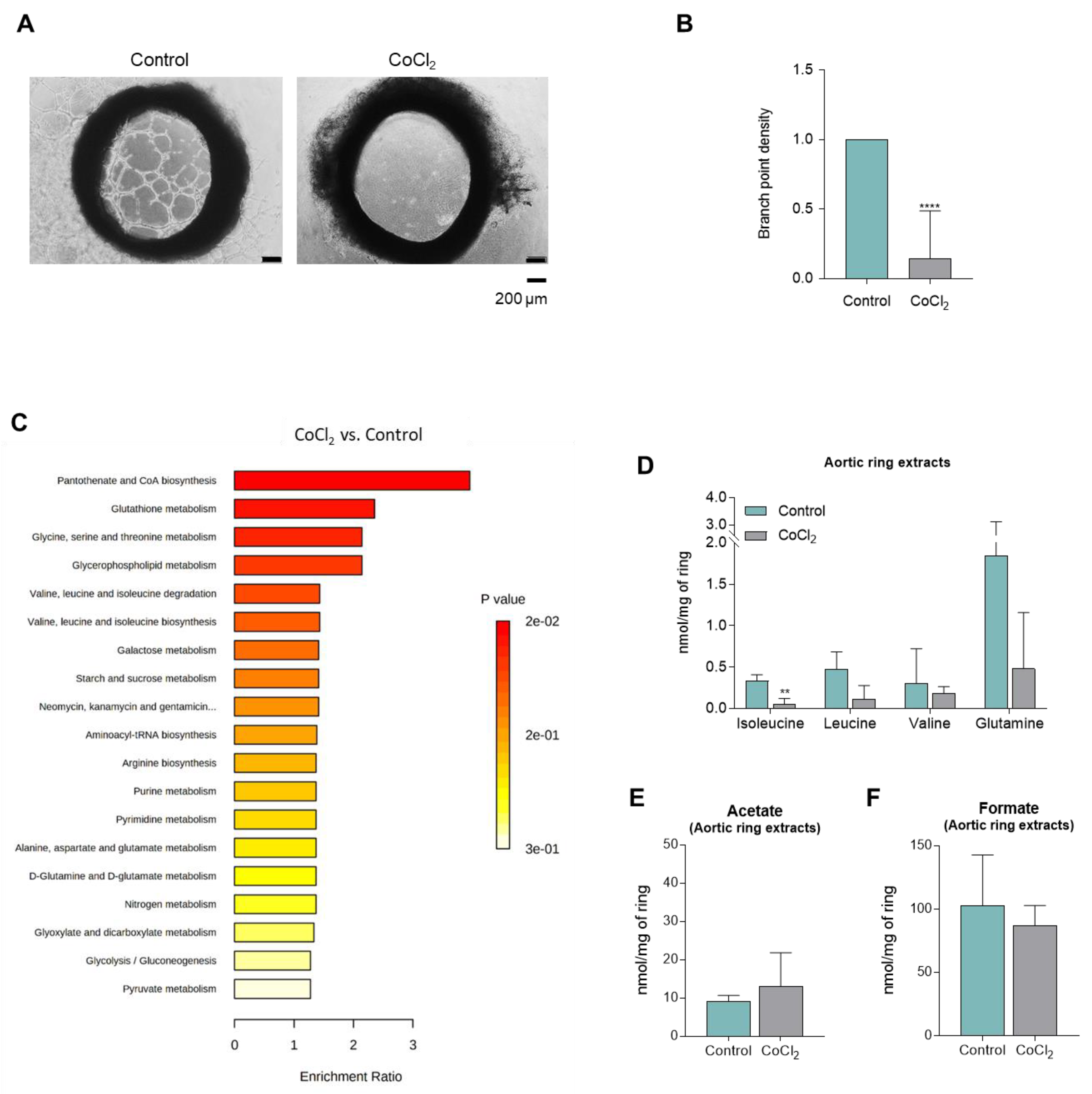 Biomedicines 10 02293 g005
