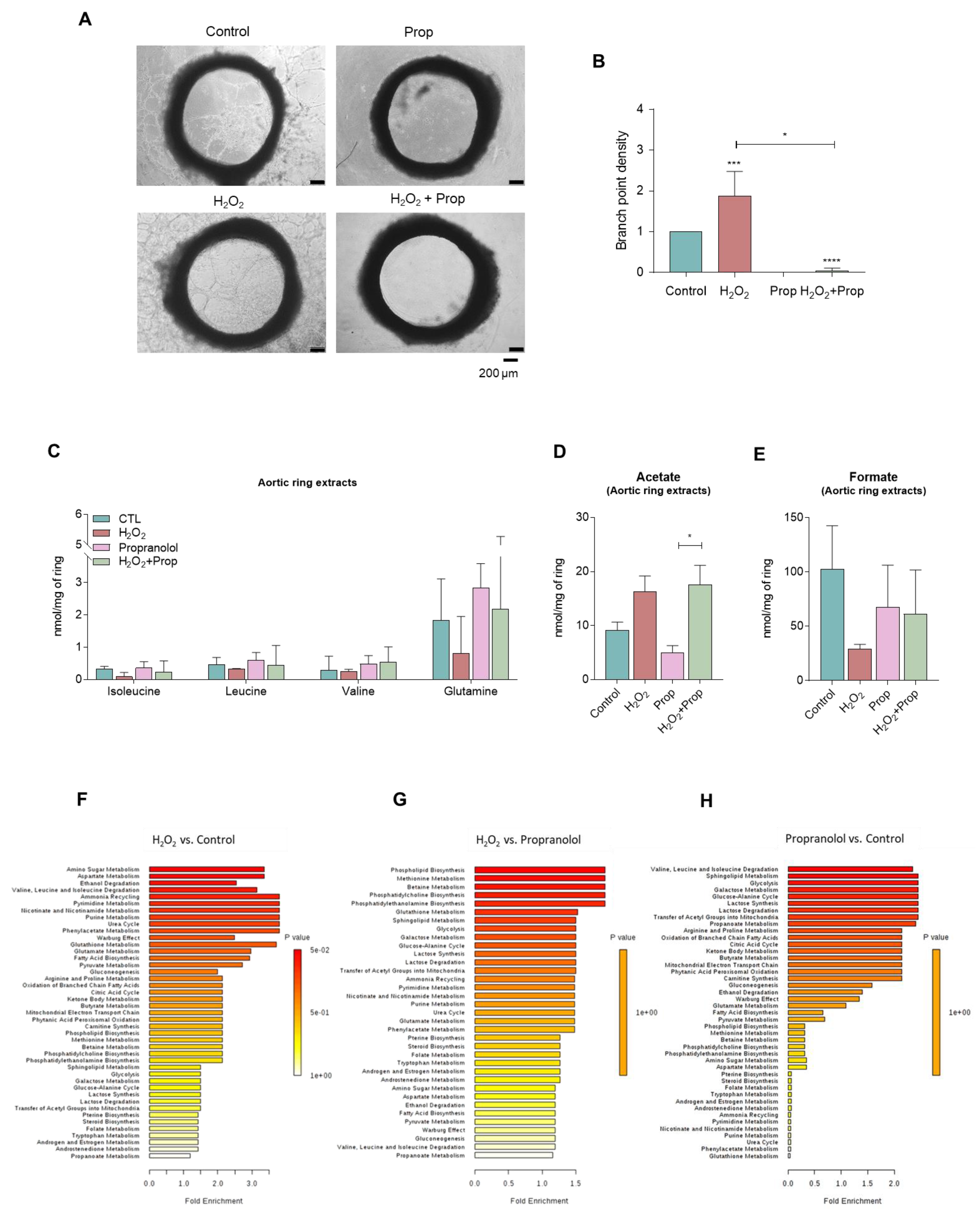 Biomedicines 10 02293 g006
