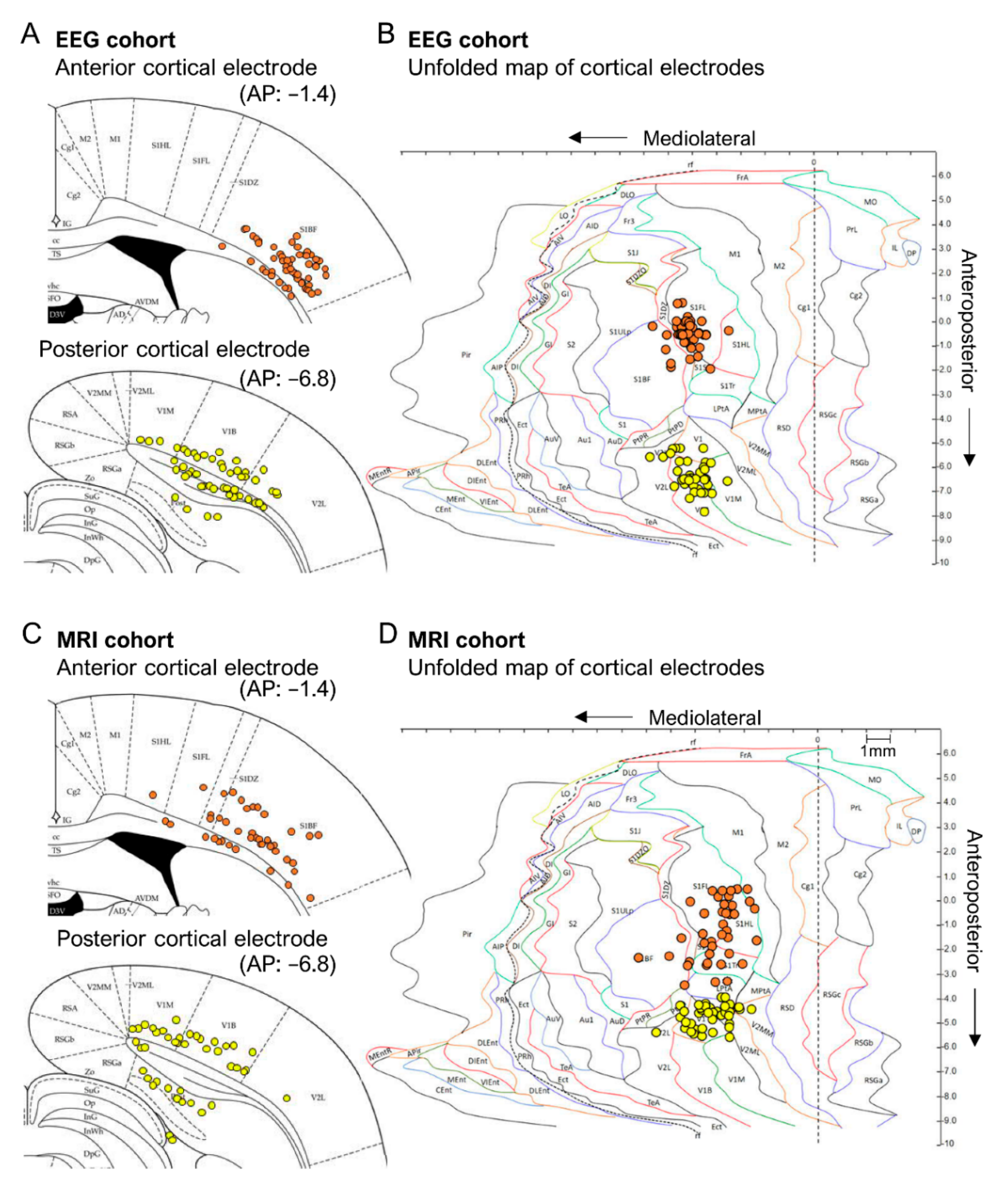 Biomedicines 10 02295 g004 Biomedicines 10 02295 g004