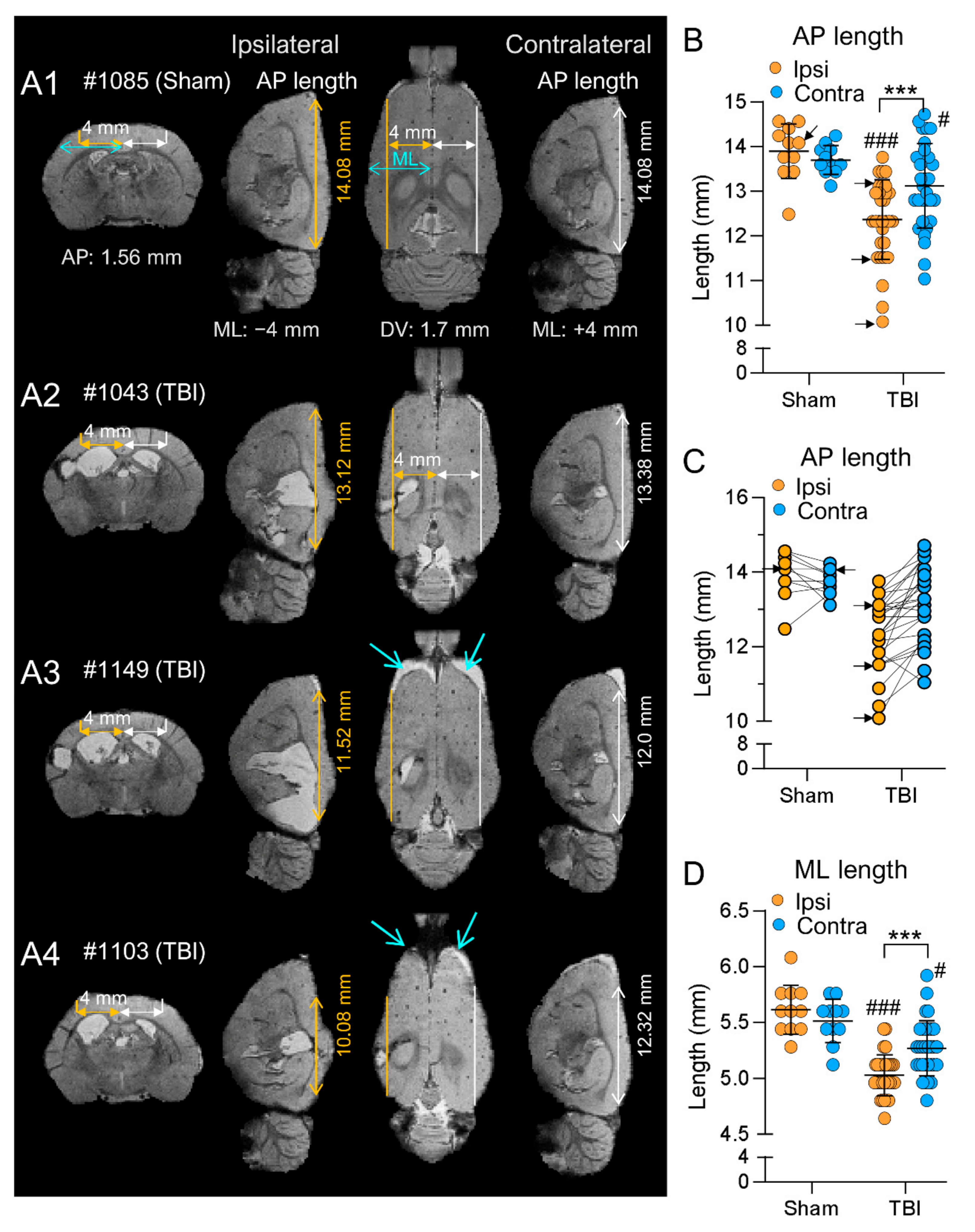 Biomedicines 10 02295 g008 Biomedicines 10 02295 g008