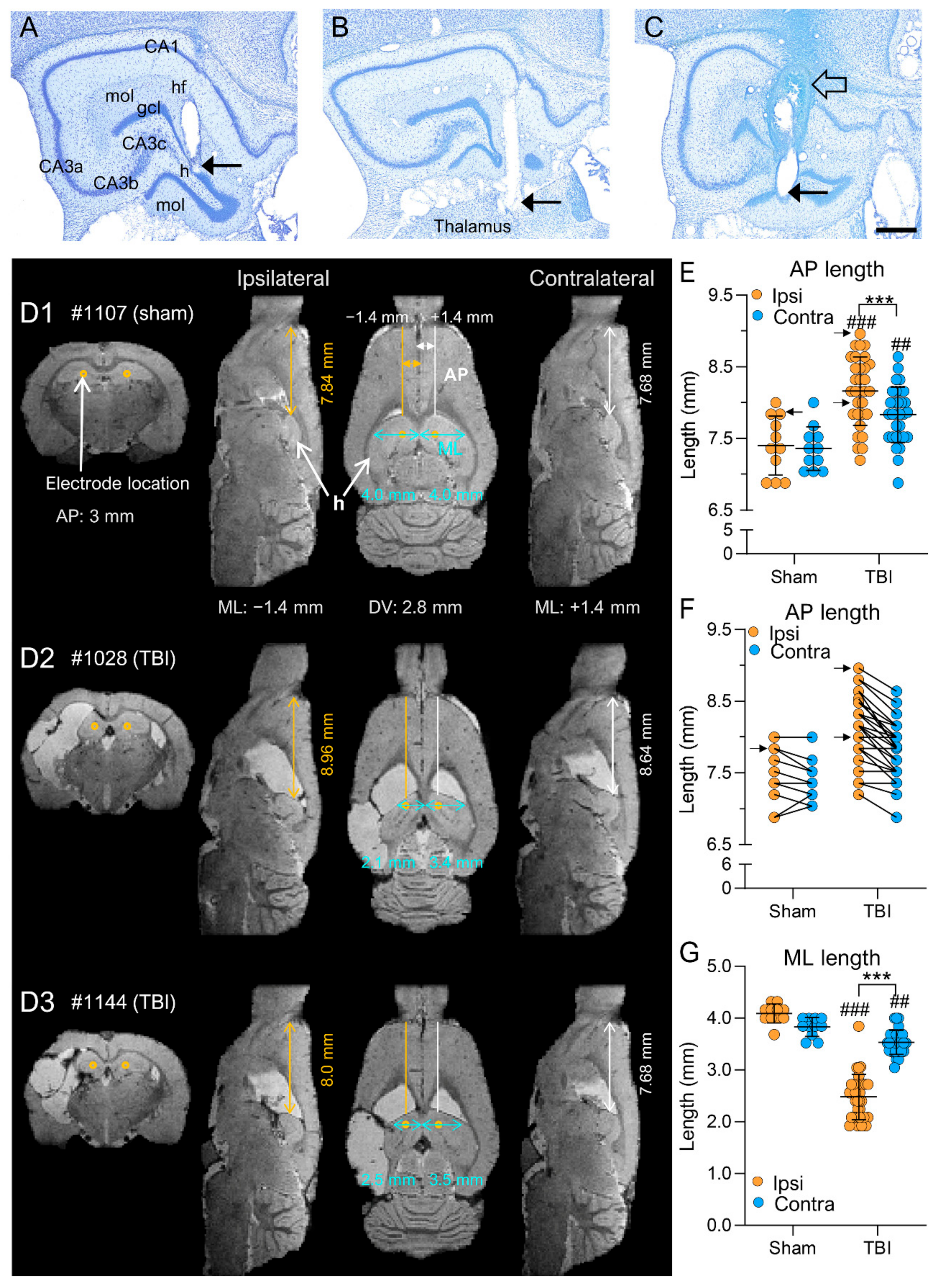 Biomedicines 10 02295 g009 Biomedicines 10 02295 g009
