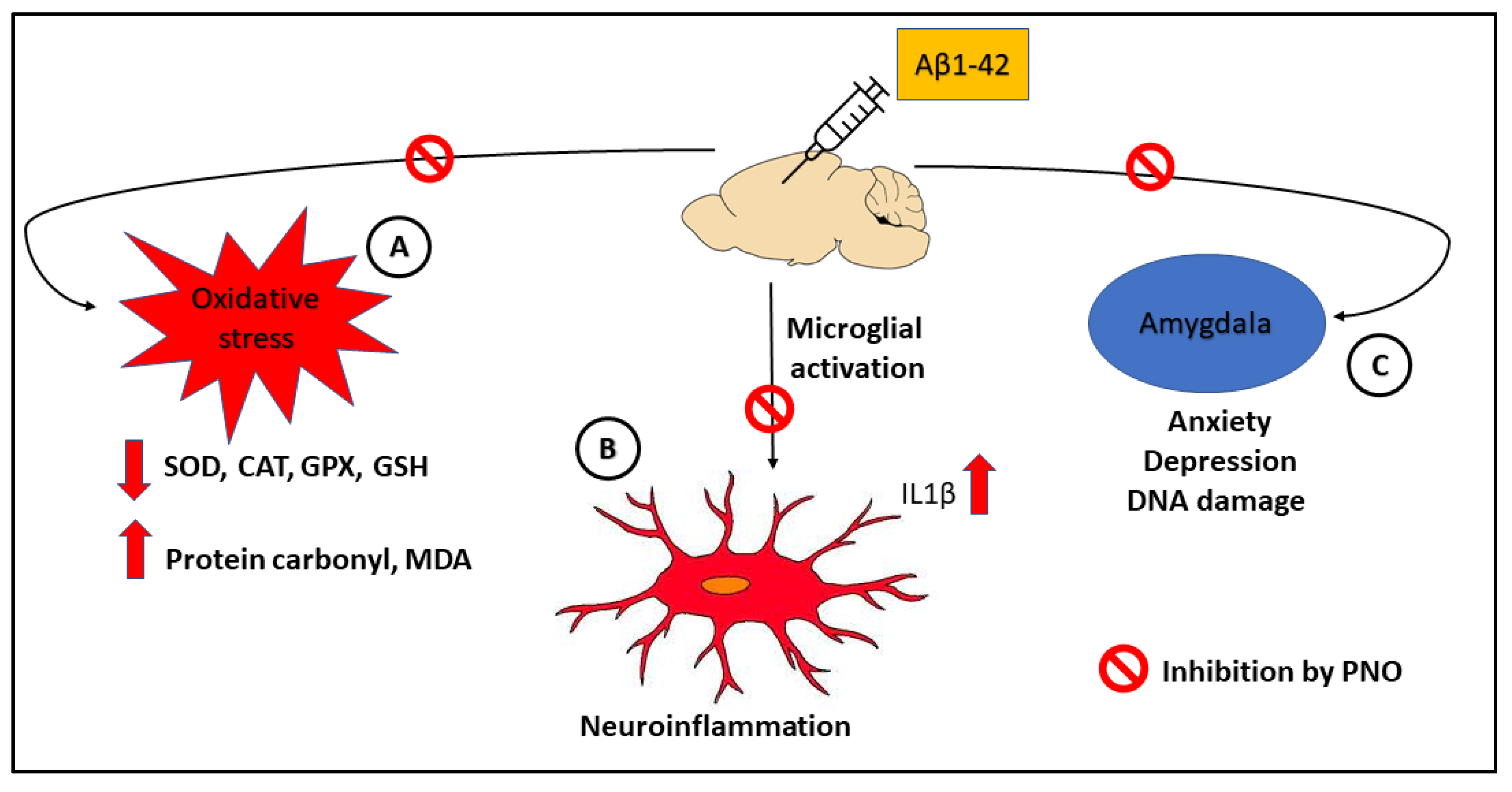 Biomedicines 10 02300 g008 Biomedicines 10 02300 g008