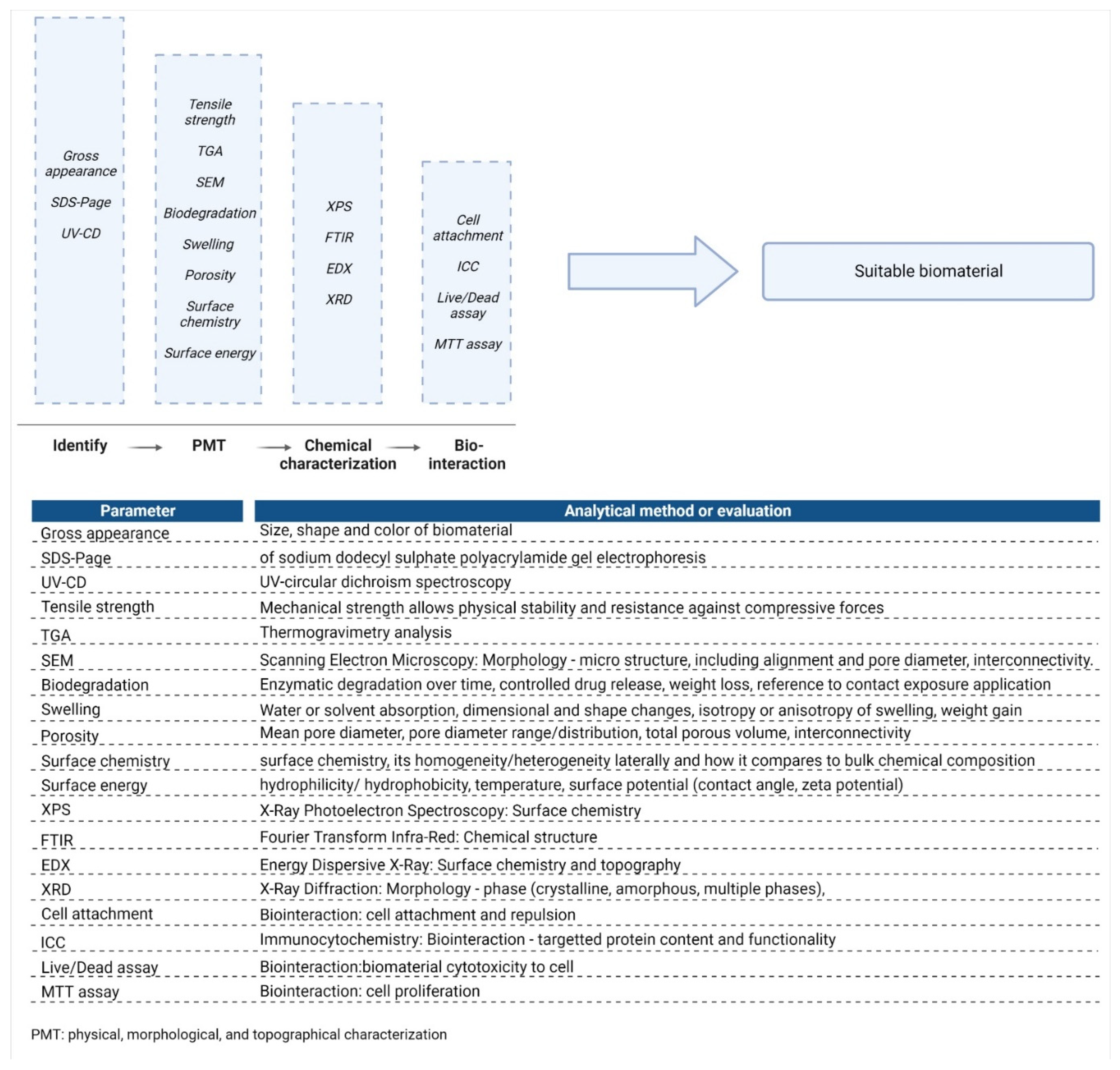 Biomedicines 10 02307 g004