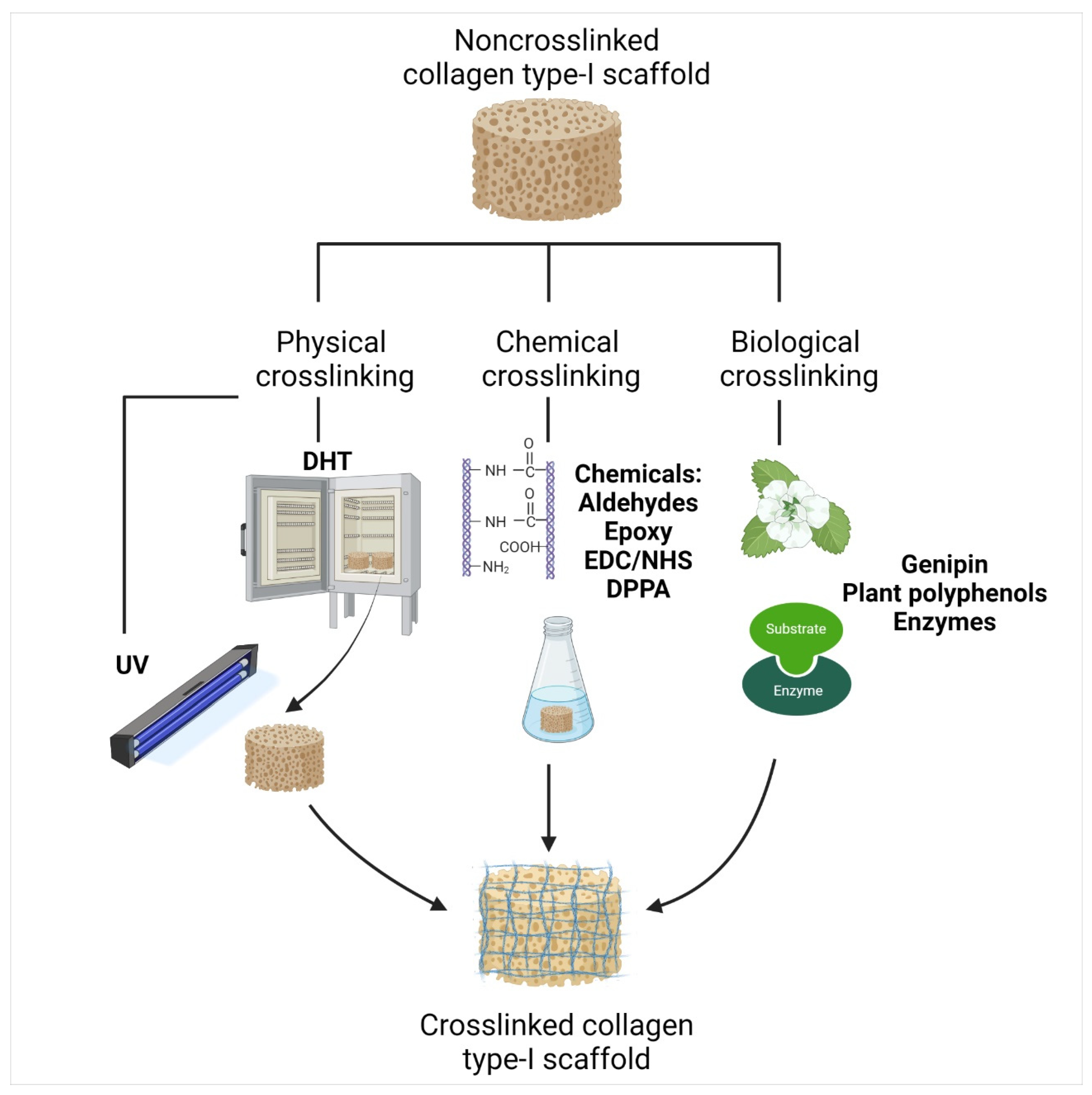Biomedicines 10 02307 g005