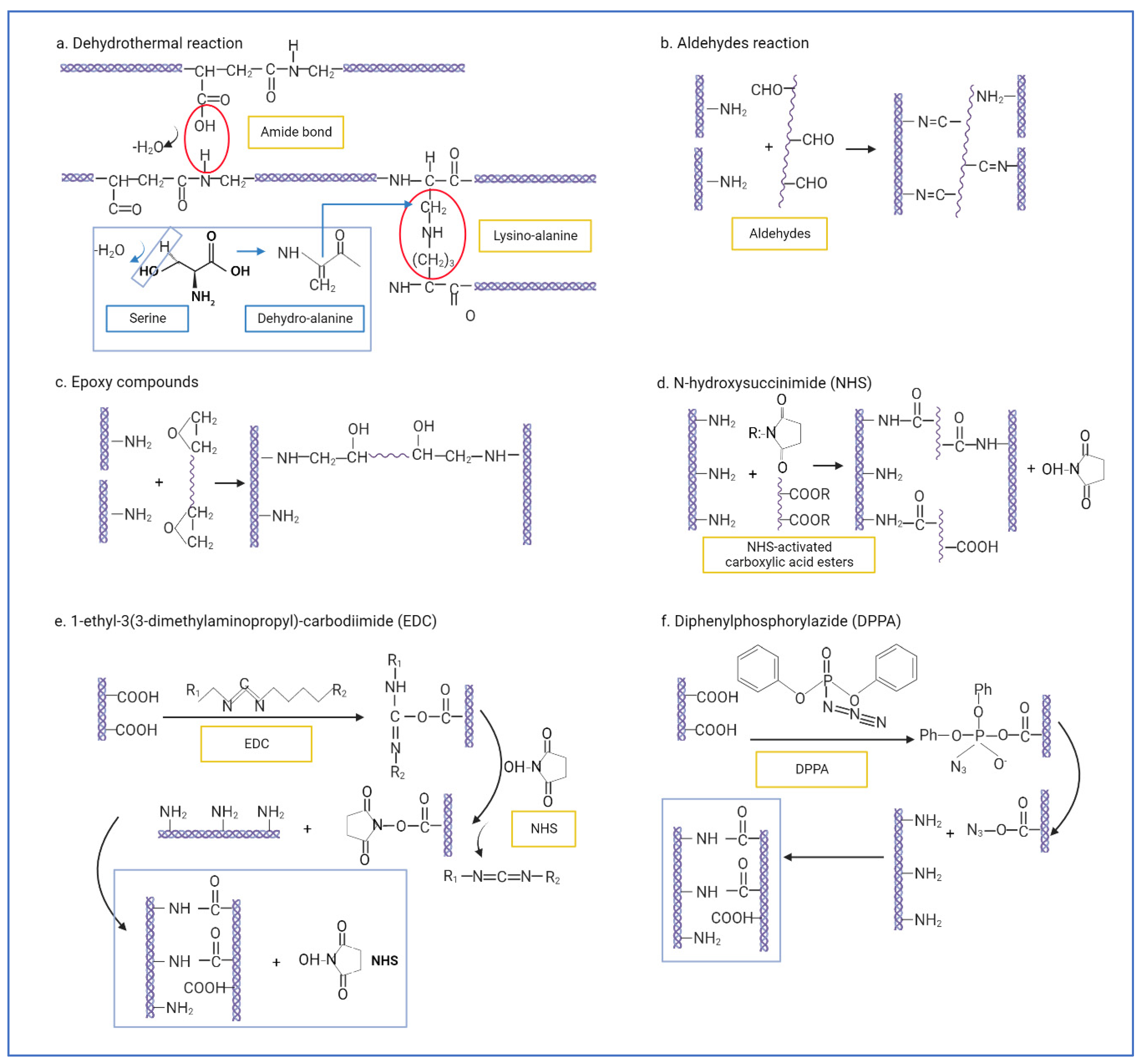 Biomedicines 10 02307 sch001